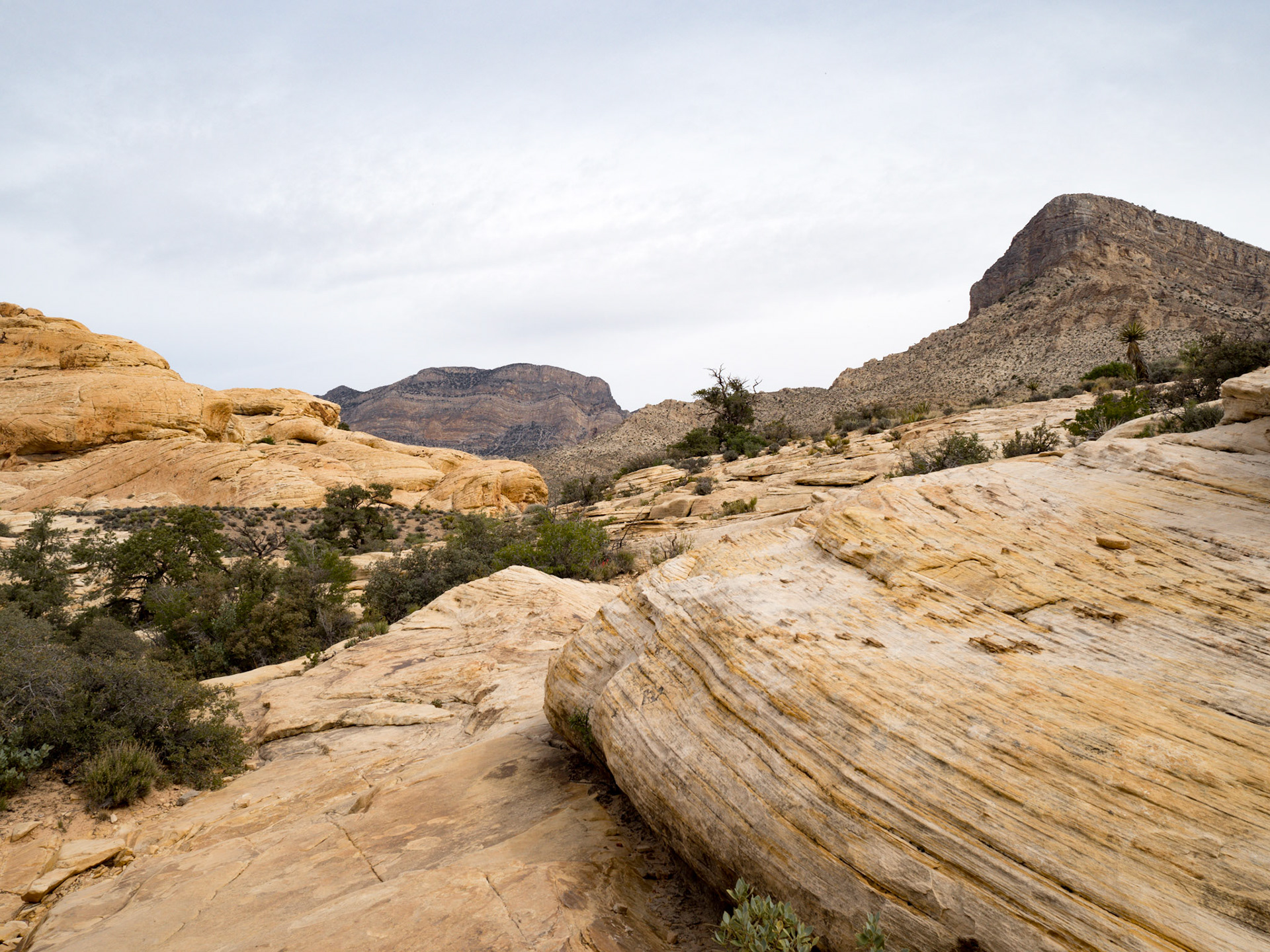 In October, 2015 I was in Las Vegas for AWS reInvent conference. One of the things I wish I had time for was visit the natural areas around Las Vegas. This time (March, 2016), however, we rented a car at Harrah’s and went hiking in the Red Rock Canyon National Conservation Area (https://en.wikipedia.org/wiki/Red_Rock_Canyon_National_Conservation_Area). There is no way to properly capture the beauty of the Red Rock, no way to pick a perfect lens or a perfect camera. You need to be there to fully appreciate it.

Note on the workflow: I am glad I took these photos using RAW+JPEG format. Normally I only shoot JPEG, but since I only recently got the Olympus PEN-F I wanted to be on the safe side and have RAW available to me. Somehow in the JPEGs the camera subdued the colors and blew out the highlights. Reds weren’t as red as I remember them, for instance, and the sky had more texture to it. Luckily, RAW had all that information and so I was able to easily post process the files in Lightroom.