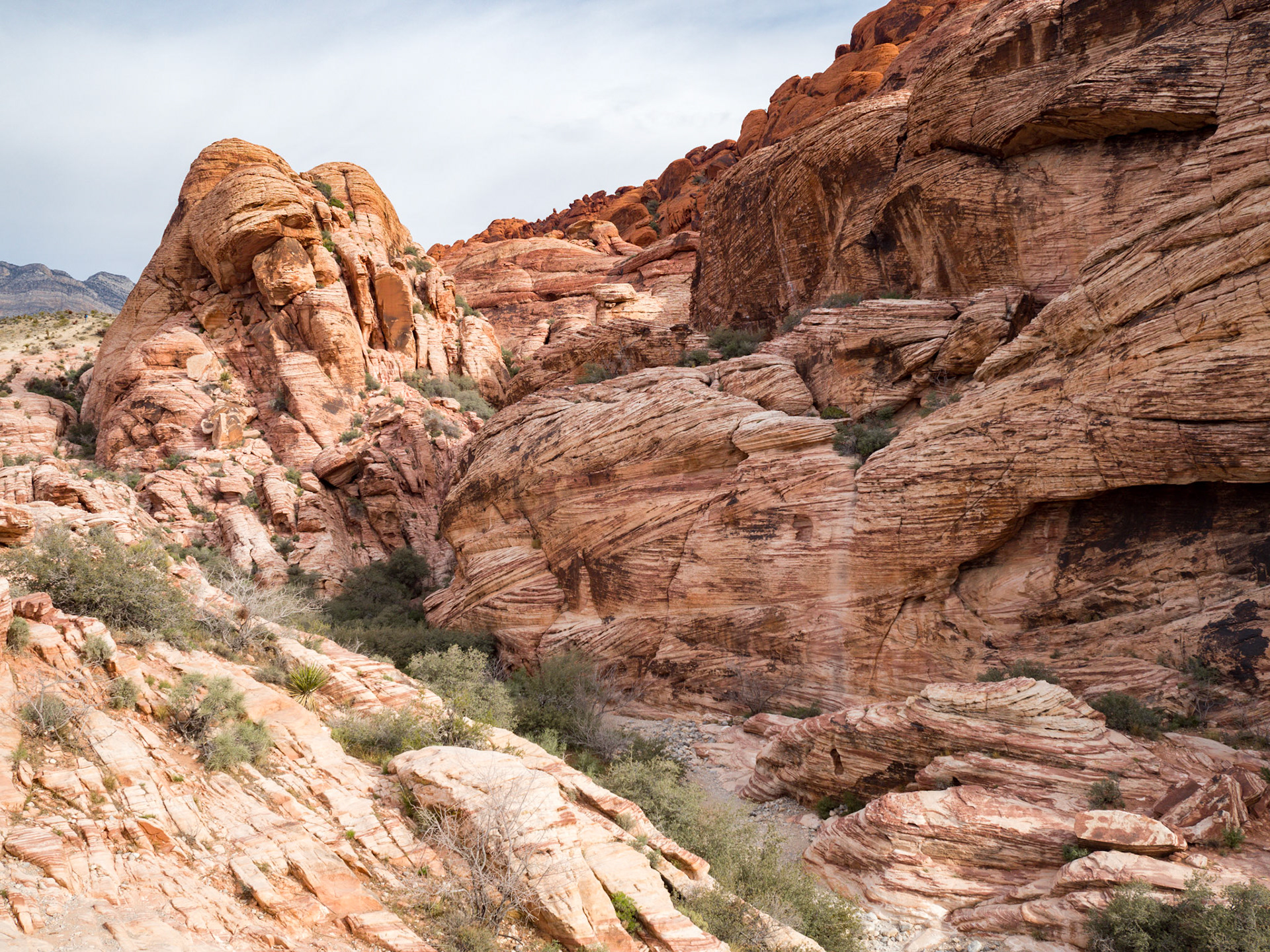 In October, 2015 I was in Las Vegas for AWS reInvent conference. One of the things I wish I had time for was visit the natural areas around Las Vegas. This time (March, 2016), however, we rented a car at Harrah’s and went hiking in the Red Rock Canyon National Conservation Area (https://en.wikipedia.org/wiki/Red_Rock_Canyon_National_Conservation_Area). There is no way to properly capture the beauty of the Red Rock, no way to pick a perfect lens or a perfect camera. You need to be there to fully appreciate it.

Note on the workflow: I am glad I took these photos using RAW+JPEG format. Normally I only shoot JPEG, but since I only recently got the Olympus PEN-F I wanted to be on the safe side and have RAW available to me. Somehow in the JPEGs the camera subdued the colors and blew out the highlights. Reds weren’t as red as I remember them, for instance, and the sky had more texture to it. Luckily, RAW had all that information and so I was able to easily post process the files in Lightroom.