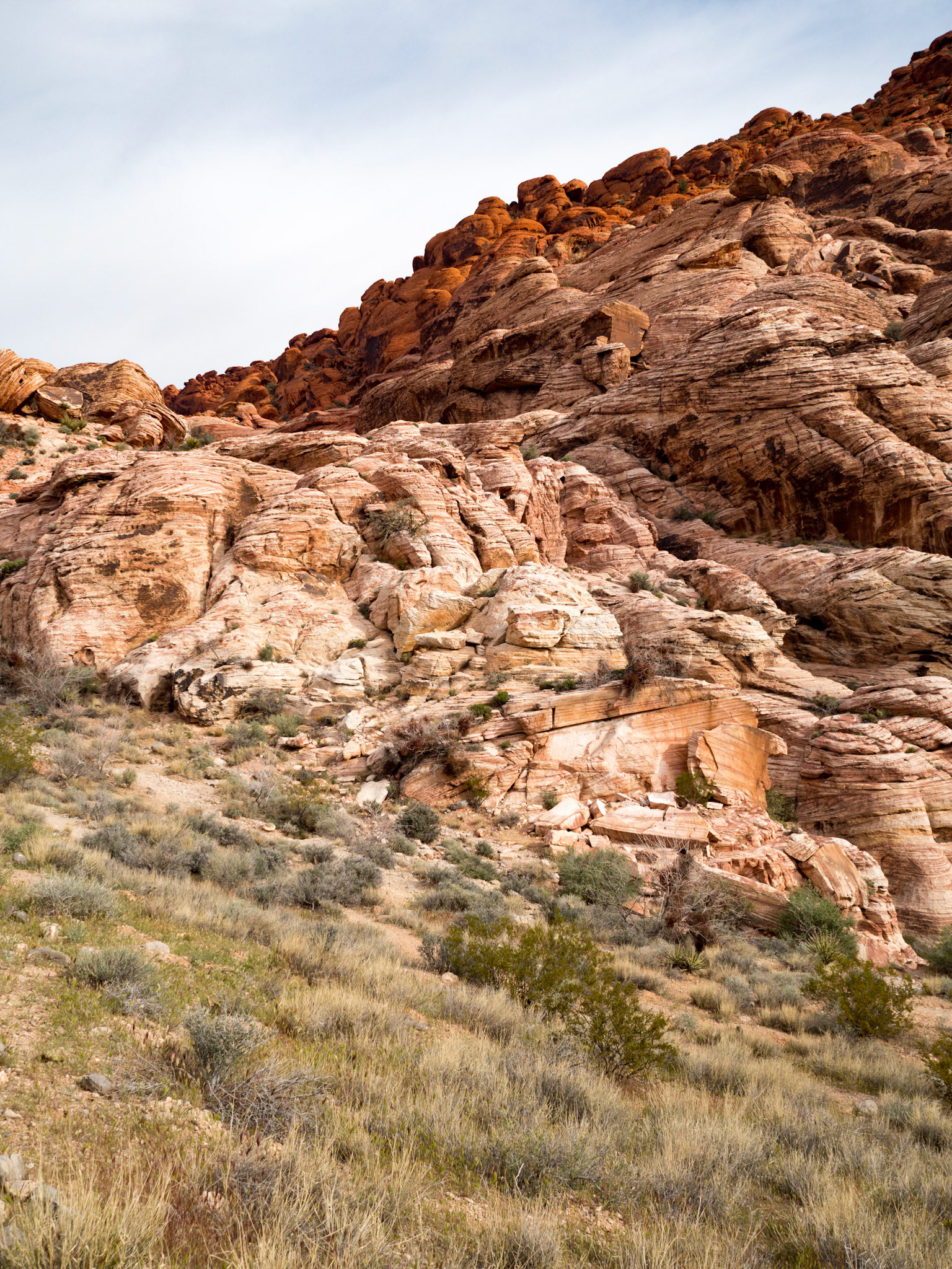 In October, 2015 I was in Las Vegas for AWS reInvent conference. One of the things I wish I had time for was visit the natural areas around Las Vegas. This time (March, 2016), however, we rented a car at Harrah’s and went hiking in the Red Rock Canyon National Conservation Area (https://en.wikipedia.org/wiki/Red_Rock_Canyon_National_Conservation_Area). There is no way to properly capture the beauty of the Red Rock, no way to pick a perfect lens or a perfect camera. You need to be there to fully appreciate it.

Note on the workflow: I am glad I took these photos using RAW+JPEG format. Normally I only shoot JPEG, but since I only recently got the Olympus PEN-F I wanted to be on the safe side and have RAW available to me. Somehow in the JPEGs the camera subdued the colors and blew out the highlights. Reds weren’t as red as I remember them, for instance, and the sky had more texture to it. Luckily, RAW had all that information and so I was able to easily post process the files in Lightroom.