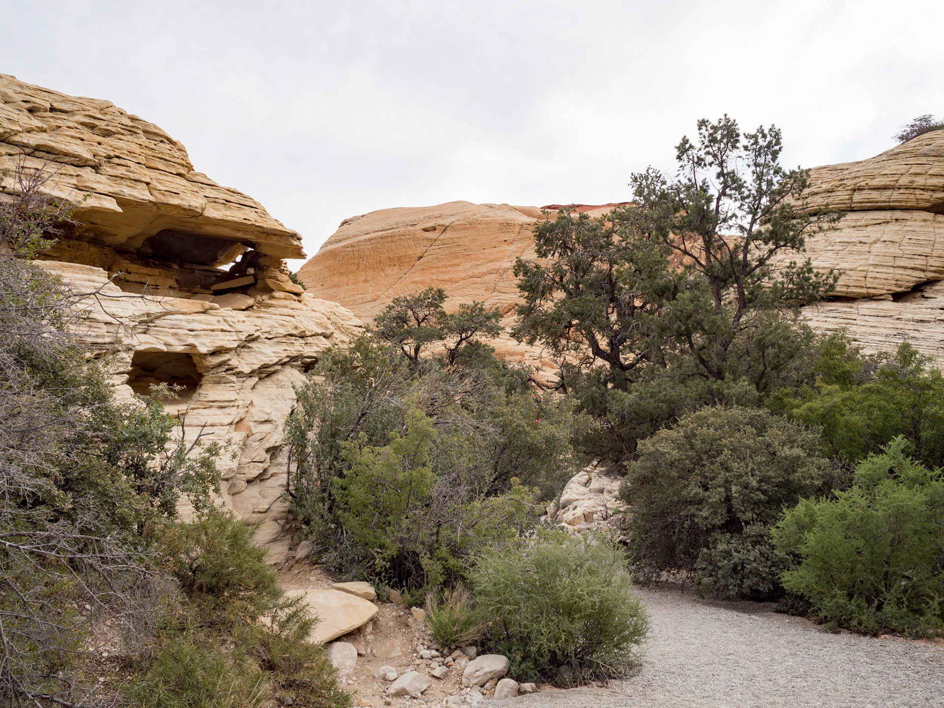 In October, 2015 I was in Las Vegas for AWS reInvent conference. One of the things I wish I had time for was visit the natural areas around Las Vegas. This time (March, 2016), however, we rented a car at Harrah’s and went hiking in the Red Rock Canyon National Conservation Area (https://en.wikipedia.org/wiki/Red_Rock_Canyon_National_Conservation_Area). There is no way to properly capture the beauty of the Red Rock, no way to pick a perfect lens or a perfect camera. You need to be there to fully appreciate it.

Note on the workflow: I am glad I took these photos using RAW+JPEG format. Normally I only shoot JPEG, but since I only recently got the Olympus PEN-F I wanted to be on the safe side and have RAW available to me. Somehow in the JPEGs the camera subdued the colors and blew out the highlights. Reds weren’t as red as I remember them, for instance, and the sky had more texture to it. Luckily, RAW had all that information and so I was able to easily post process the files in Lightroom.