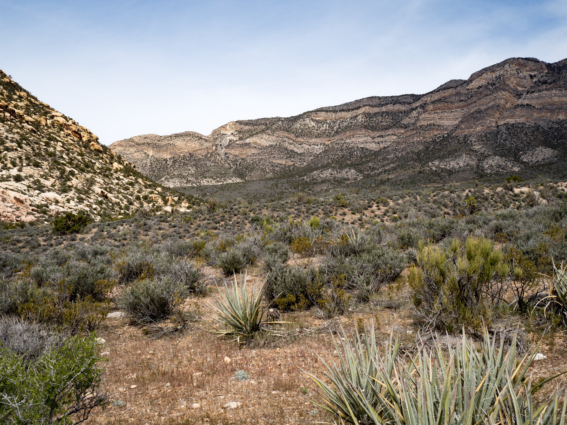 In October, 2015 I was in Las Vegas for AWS reInvent conference. One of the things I wish I had time for was visit the natural areas around Las Vegas. This time (March, 2016), however, we rented a car at Harrah’s and went hiking in the Red Rock Canyon National Conservation Area (https://en.wikipedia.org/wiki/Red_Rock_Canyon_National_Conservation_Area). There is no way to properly capture the beauty of the Red Rock, no way to pick a perfect lens or a perfect camera. You need to be there to fully appreciate it.

Note on the workflow: I am glad I took these photos using RAW+JPEG format. Normally I only shoot JPEG, but since I only recently got the Olympus PEN-F I wanted to be on the safe side and have RAW available to me. Somehow in the JPEGs the camera subdued the colors and blew out the highlights. Reds weren’t as red as I remember them, for instance, and the sky had more texture to it. Luckily, RAW had all that information and so I was able to easily post process the files in Lightroom.