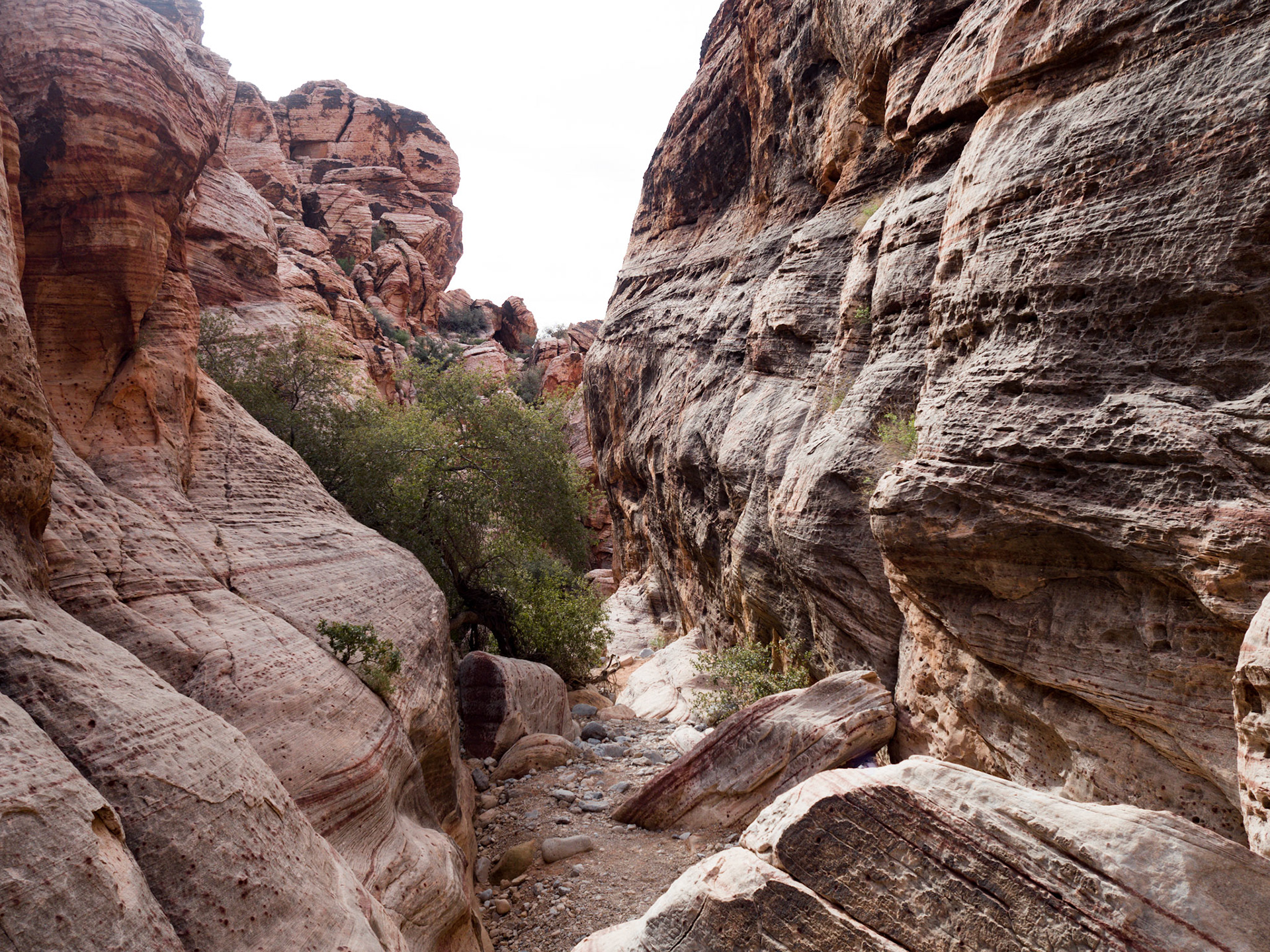 In October, 2015 I was in Las Vegas for AWS reInvent conference. One of the things I wish I had time for was visit the natural areas around Las Vegas. This time (March, 2016), however, we rented a car at Harrah’s and went hiking in the Red Rock Canyon National Conservation Area (https://en.wikipedia.org/wiki/Red_Rock_Canyon_National_Conservation_Area). There is no way to properly capture the beauty of the Red Rock, no way to pick a perfect lens or a perfect camera. You need to be there to fully appreciate it.

Note on the workflow: I am glad I took these photos using RAW+JPEG format. Normally I only shoot JPEG, but since I only recently got the Olympus PEN-F I wanted to be on the safe side and have RAW available to me. Somehow in the JPEGs the camera subdued the colors and blew out the highlights. Reds weren’t as red as I remember them, for instance, and the sky had more texture to it. Luckily, RAW had all that information and so I was able to easily post process the files in Lightroom.