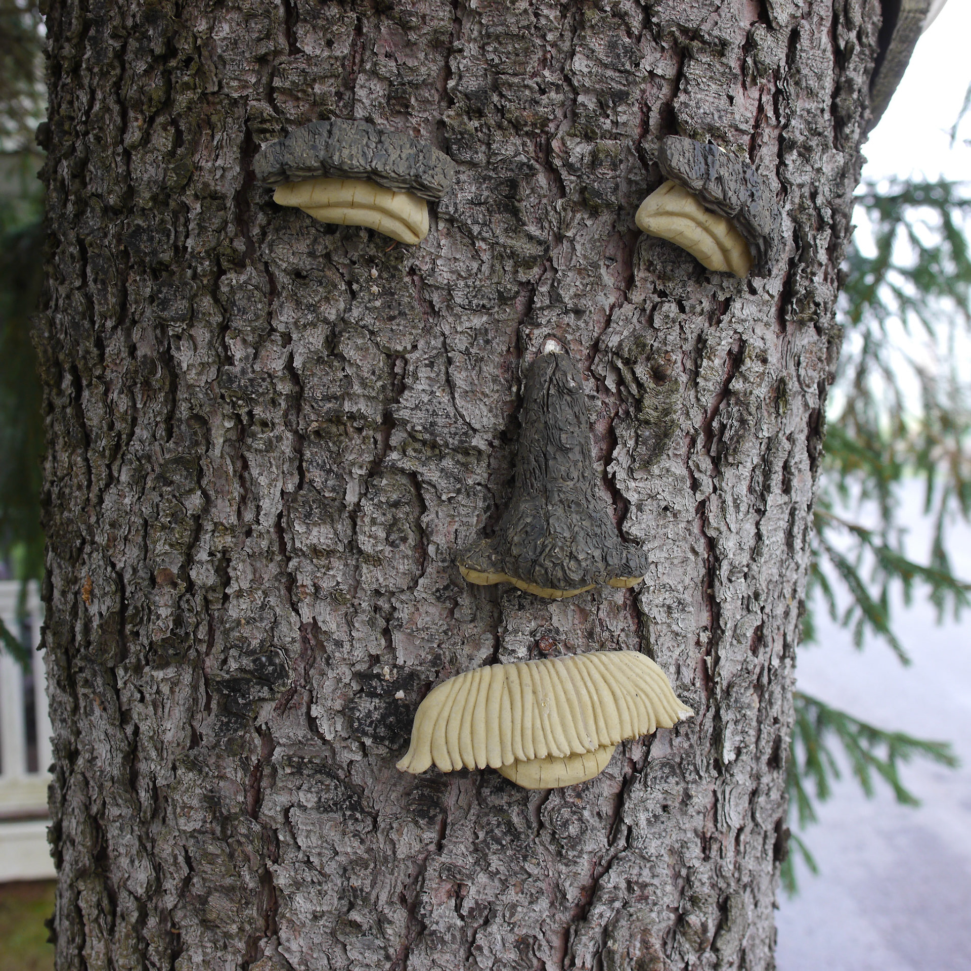 Having spent several years of my youth attending college in the Adirondacks, I became well familiar with the mountains of upstate New York -- both Catskills and Adirondacks. I love coming back to this area, every now and then, to retrace the hiking trails, and enjoy the views that I enjoyed when I was younger. It is nice to come back to same place and take photographs and see how it changed -- or didn't.