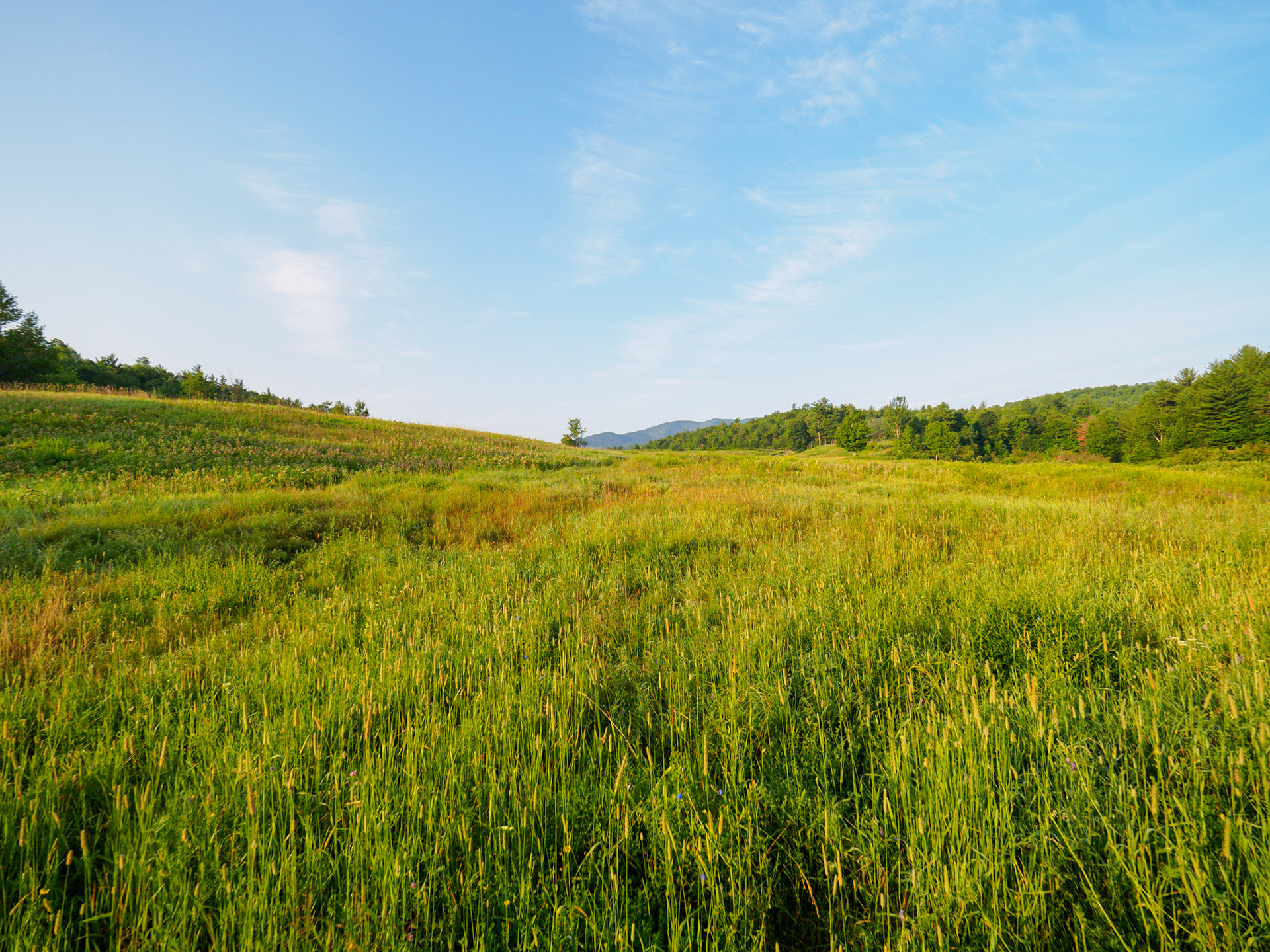 Views from Bark Eater Inn