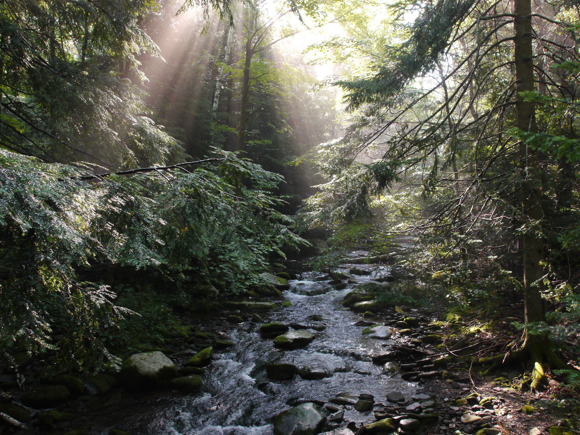 Having spent several years of my youth attending college in the Adirondacks, I became well familiar with the mountains of upstate New York -- both Catskills and Adirondacks. I love coming back to this area, every now and then, to retrace the hiking trails, and enjoy the views that I enjoyed when I was younger. It is nice to come back to same place and take photographs and see how it changed -- or didn't.