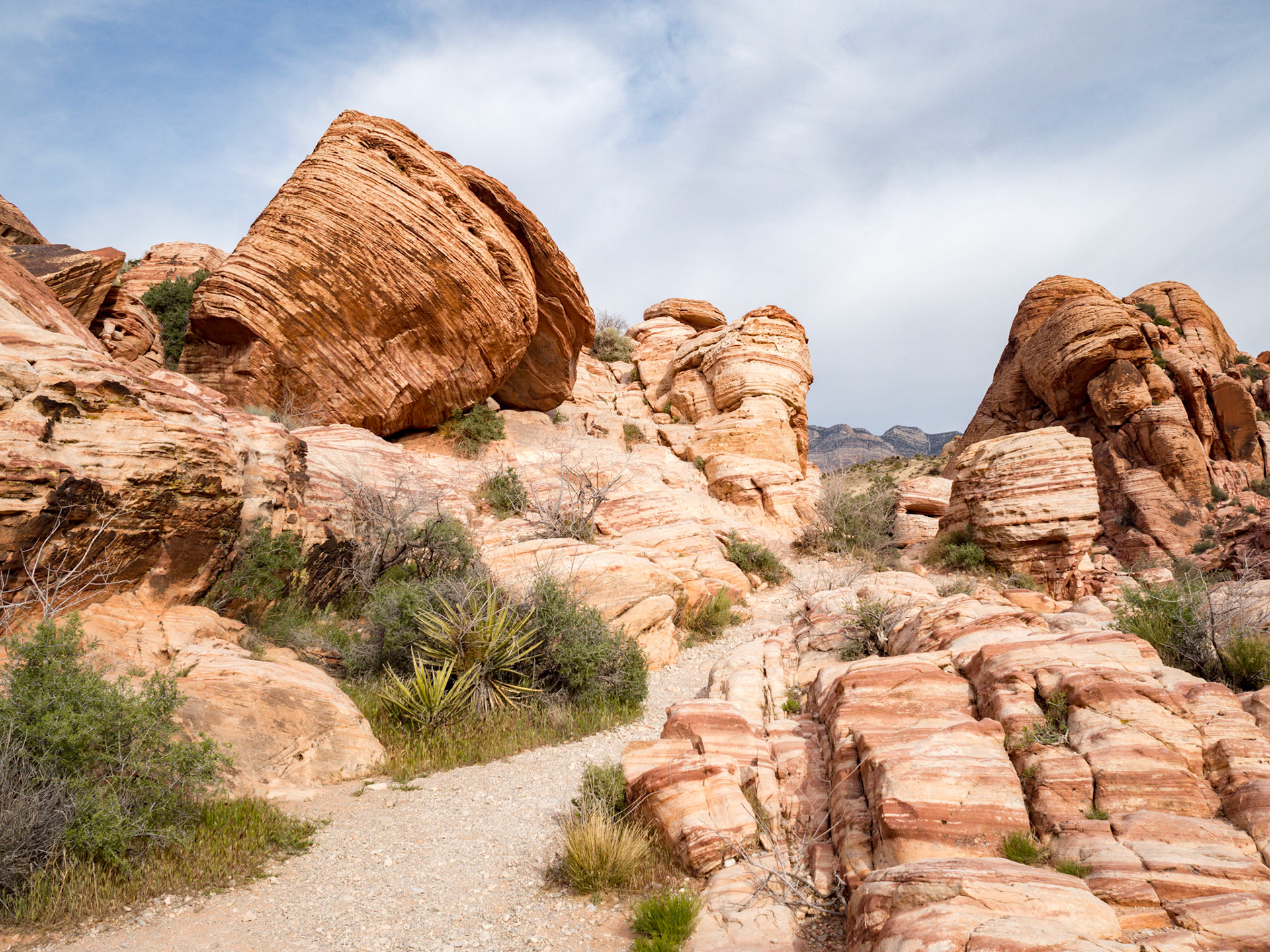 In October, 2015 I was in Las Vegas for AWS reInvent conference. One of the things I wish I had time for was visit the natural areas around Las Vegas. This time (March, 2016), however, we rented a car at Harrah’s and went hiking in the Red Rock Canyon National Conservation Area (https://en.wikipedia.org/wiki/Red_Rock_Canyon_National_Conservation_Area). There is no way to properly capture the beauty of the Red Rock, no way to pick a perfect lens or a perfect camera. You need to be there to fully appreciate it.

Note on the workflow: I am glad I took these photos using RAW+JPEG format. Normally I only shoot JPEG, but since I only recently got the Olympus PEN-F I wanted to be on the safe side and have RAW available to me. Somehow in the JPEGs the camera subdued the colors and blew out the highlights. Reds weren’t as red as I remember them, for instance, and the sky had more texture to it. Luckily, RAW had all that information and so I was able to easily post process the files in Lightroom.