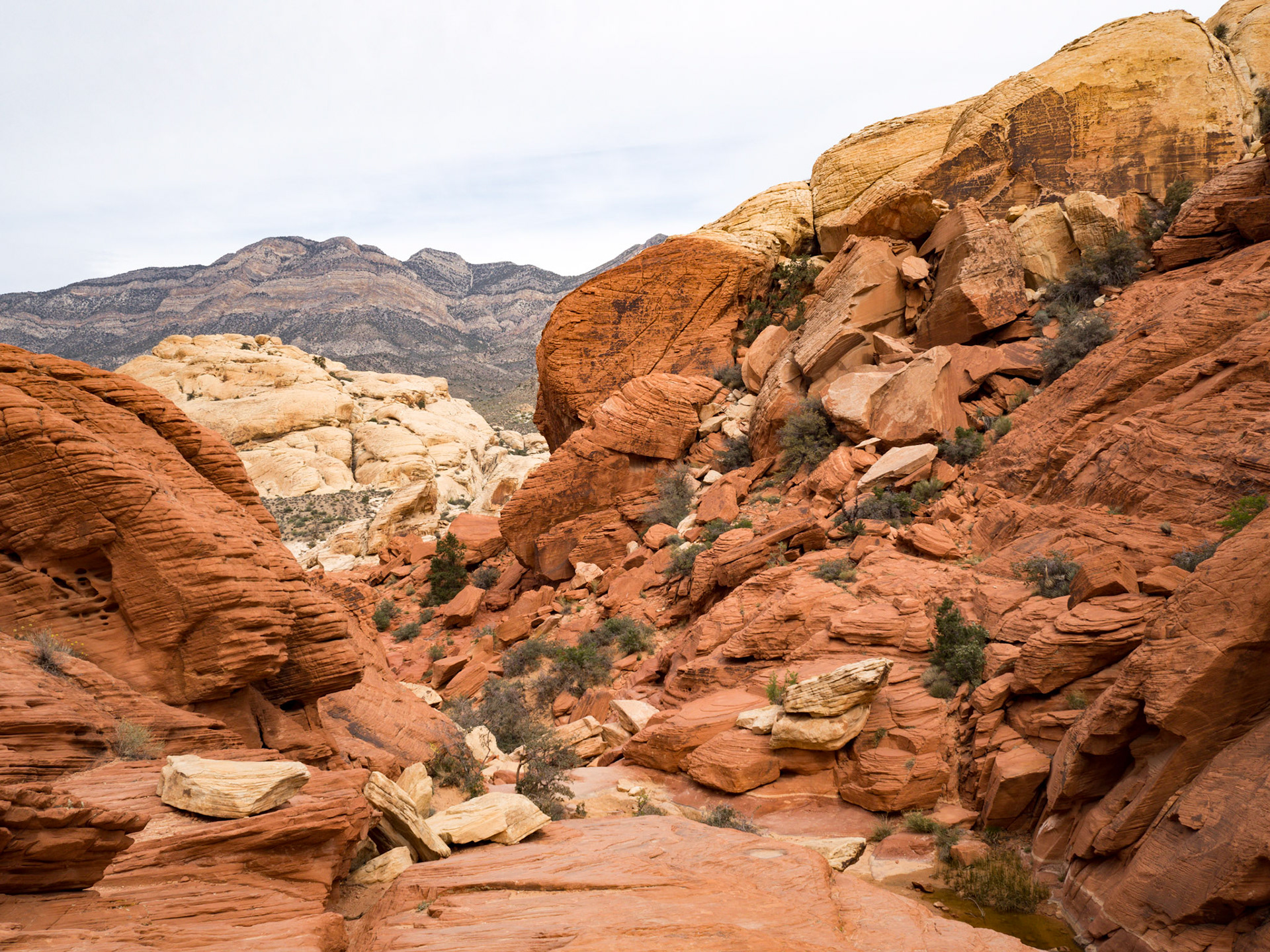 Red Rock Canyon, Las Vegas, Nevada