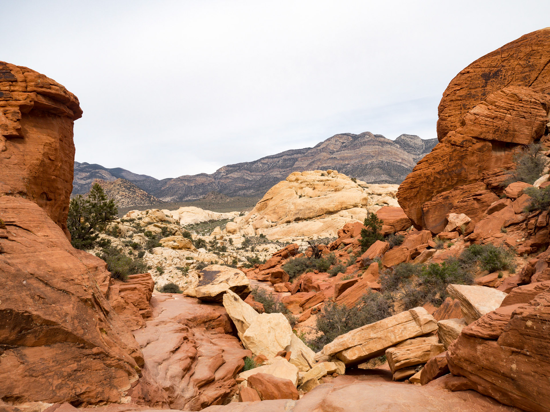 Red Rock Canyon, Las Vegas, Nevada