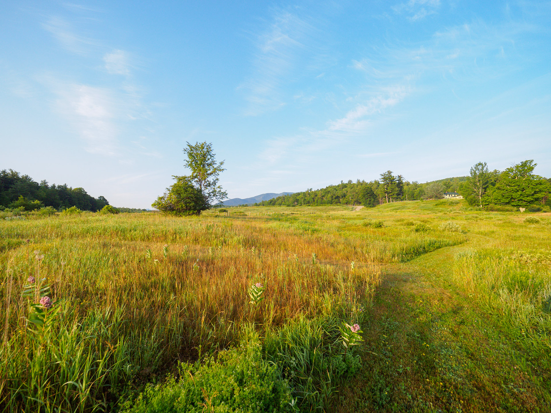 Views from Bark Eater Inn