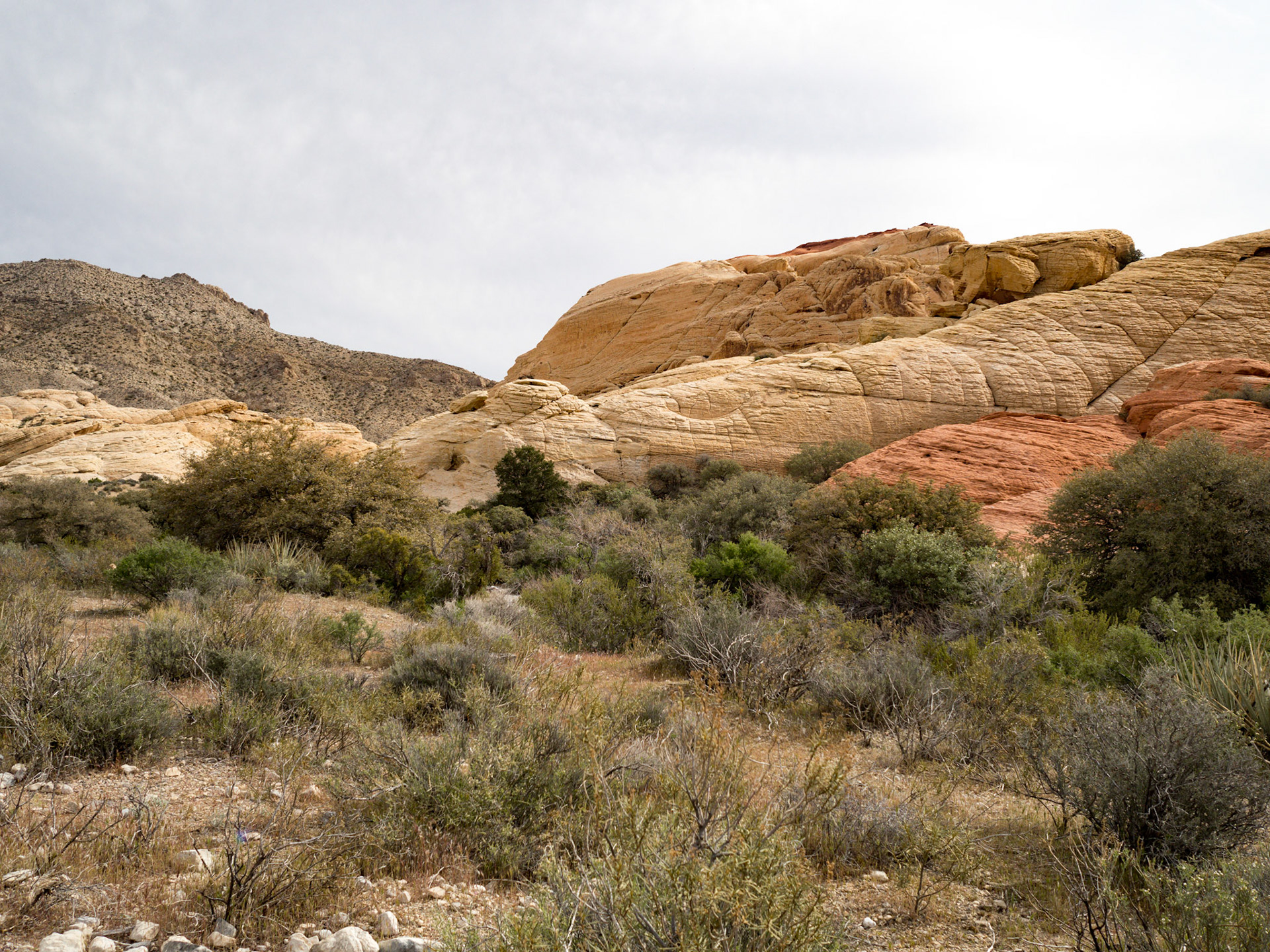In October, 2015 I was in Las Vegas for AWS reInvent conference. One of the things I wish I had time for was visit the natural areas around Las Vegas. This time (March, 2016), however, we rented a car at Harrah’s and went hiking in the Red Rock Canyon National Conservation Area (https://en.wikipedia.org/wiki/Red_Rock_Canyon_National_Conservation_Area). There is no way to properly capture the beauty of the Red Rock, no way to pick a perfect lens or a perfect camera. You need to be there to fully appreciate it.

Note on the workflow: I am glad I took these photos using RAW+JPEG format. Normally I only shoot JPEG, but since I only recently got the Olympus PEN-F I wanted to be on the safe side and have RAW available to me. Somehow in the JPEGs the camera subdued the colors and blew out the highlights. Reds weren’t as red as I remember them, for instance, and the sky had more texture to it. Luckily, RAW had all that information and so I was able to easily post process the files in Lightroom.