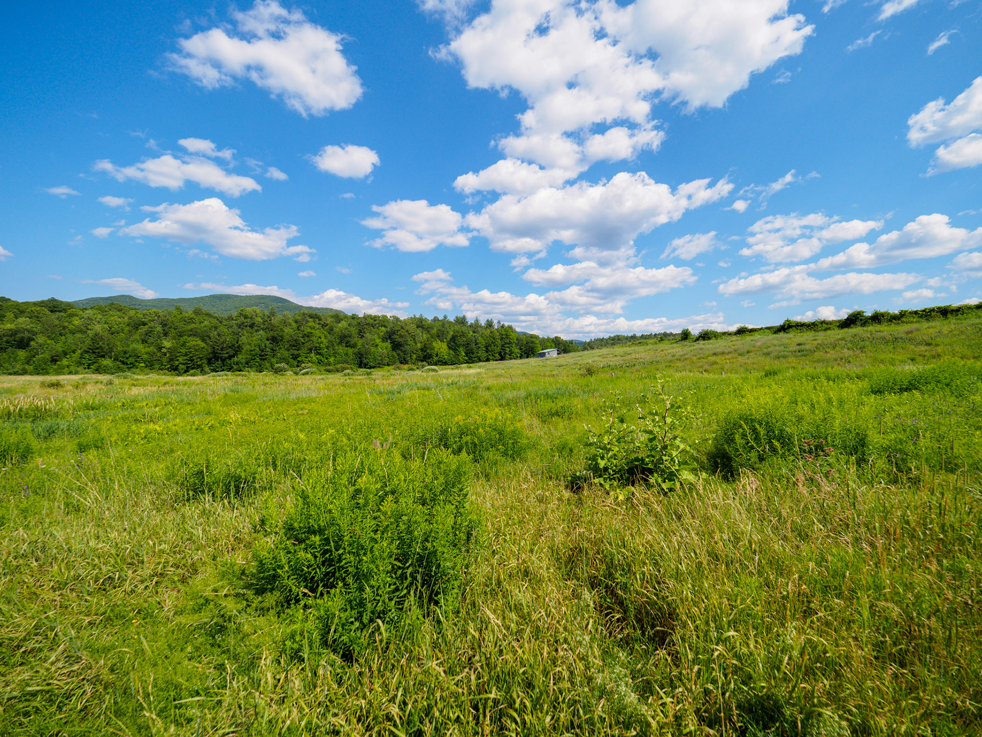 Views from Bark Eater Inn