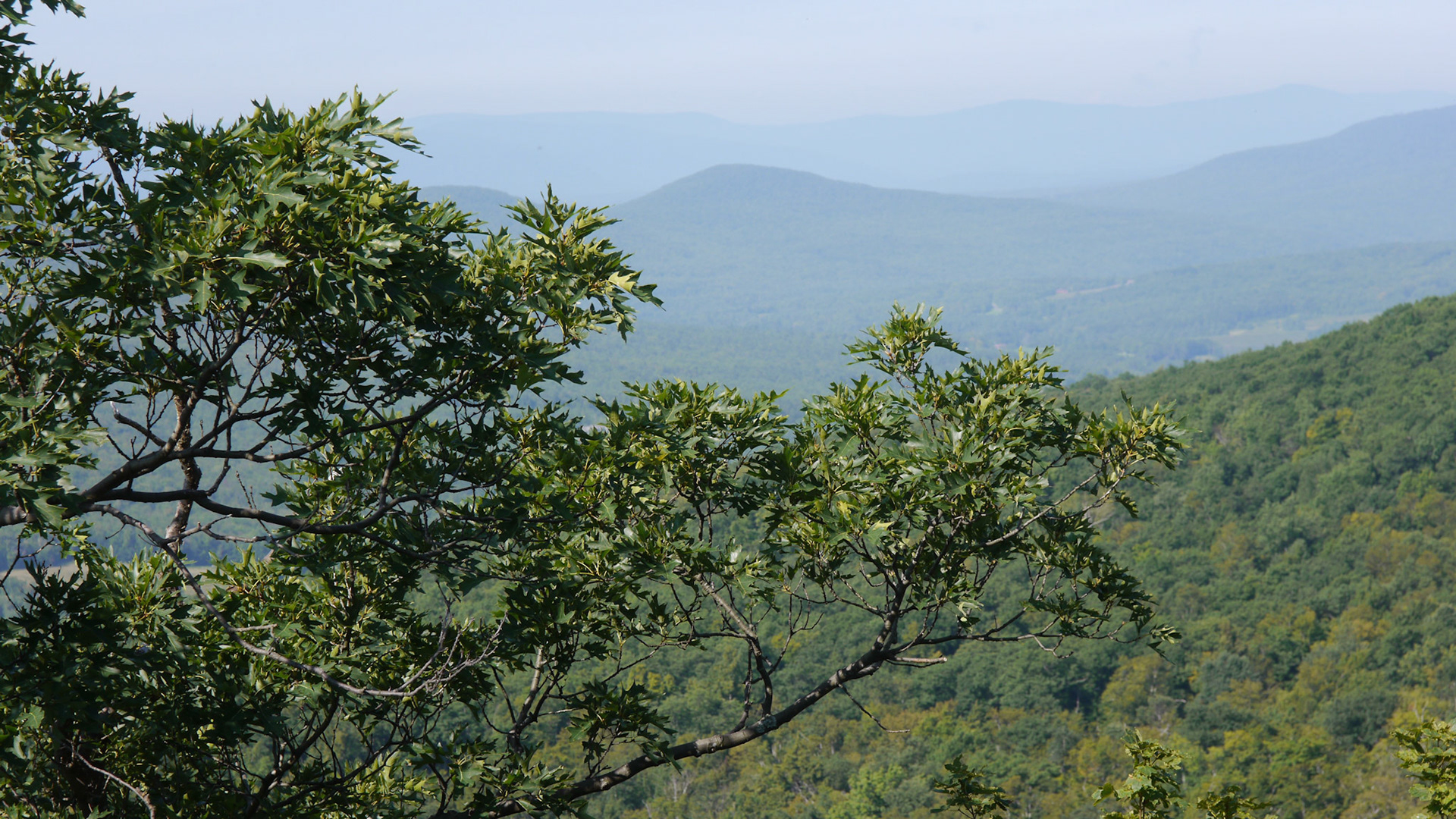 Having spent several years of my youth attending college in the Adirondacks, I became well familiar with the mountains of upstate New York -- both Catskills and Adirondacks. I love coming back to this area, every now and then, to retrace the hiking trails, and enjoy the views that I enjoyed when I was younger. It is nice to come back to same place and take photographs and see how it changed -- or didn't.