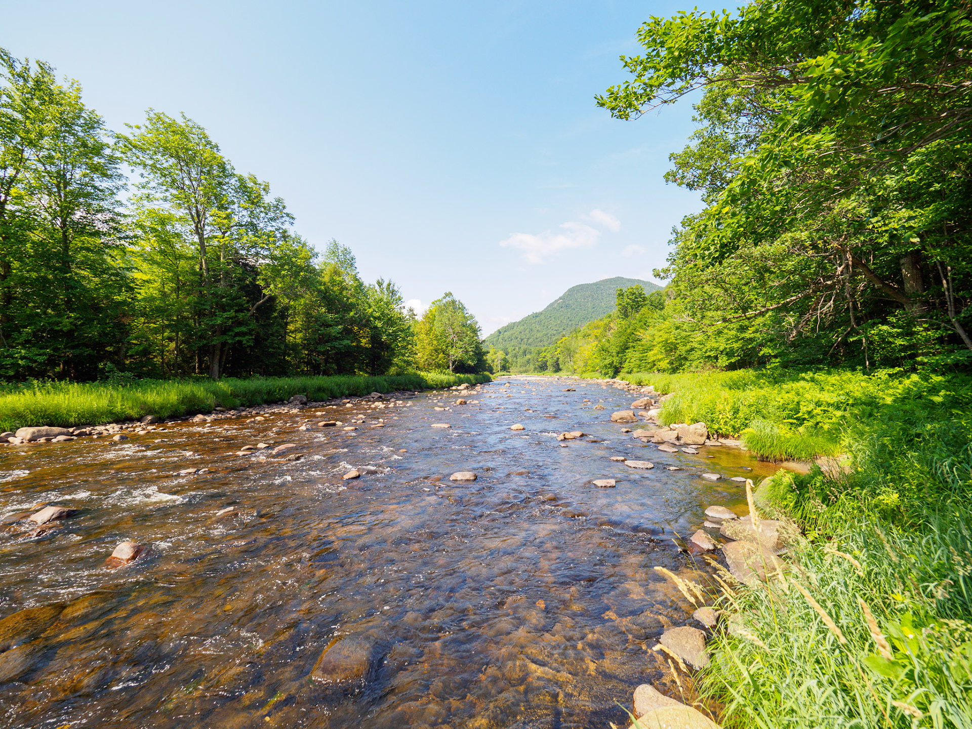 Ausable river