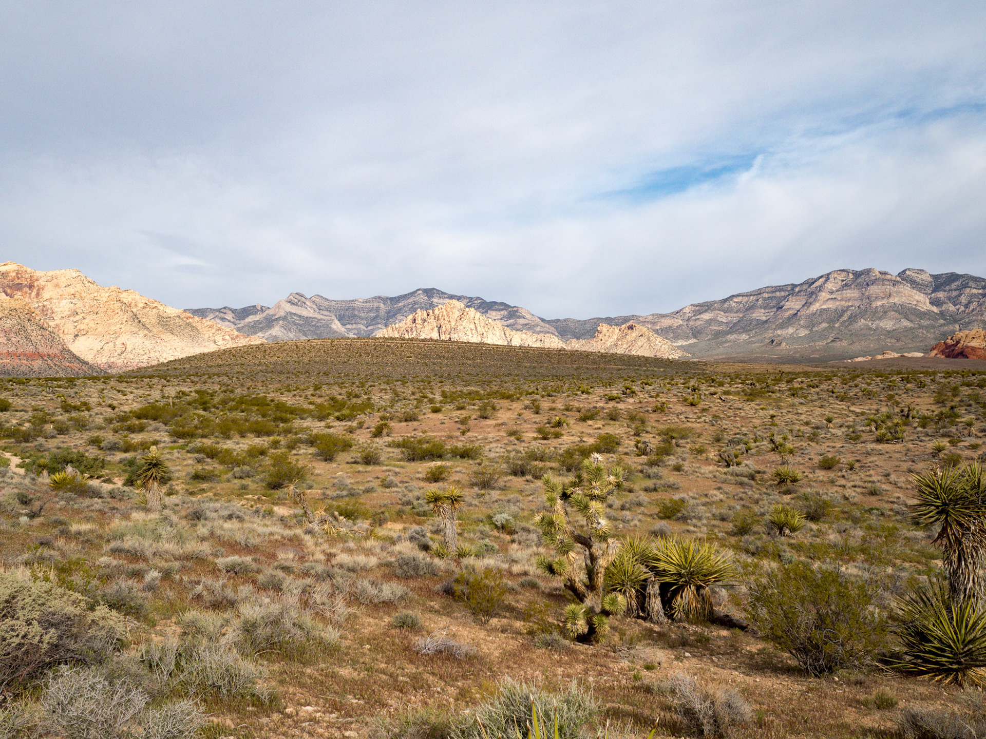 Red Rock Canyon, Las Vegas, Nevada