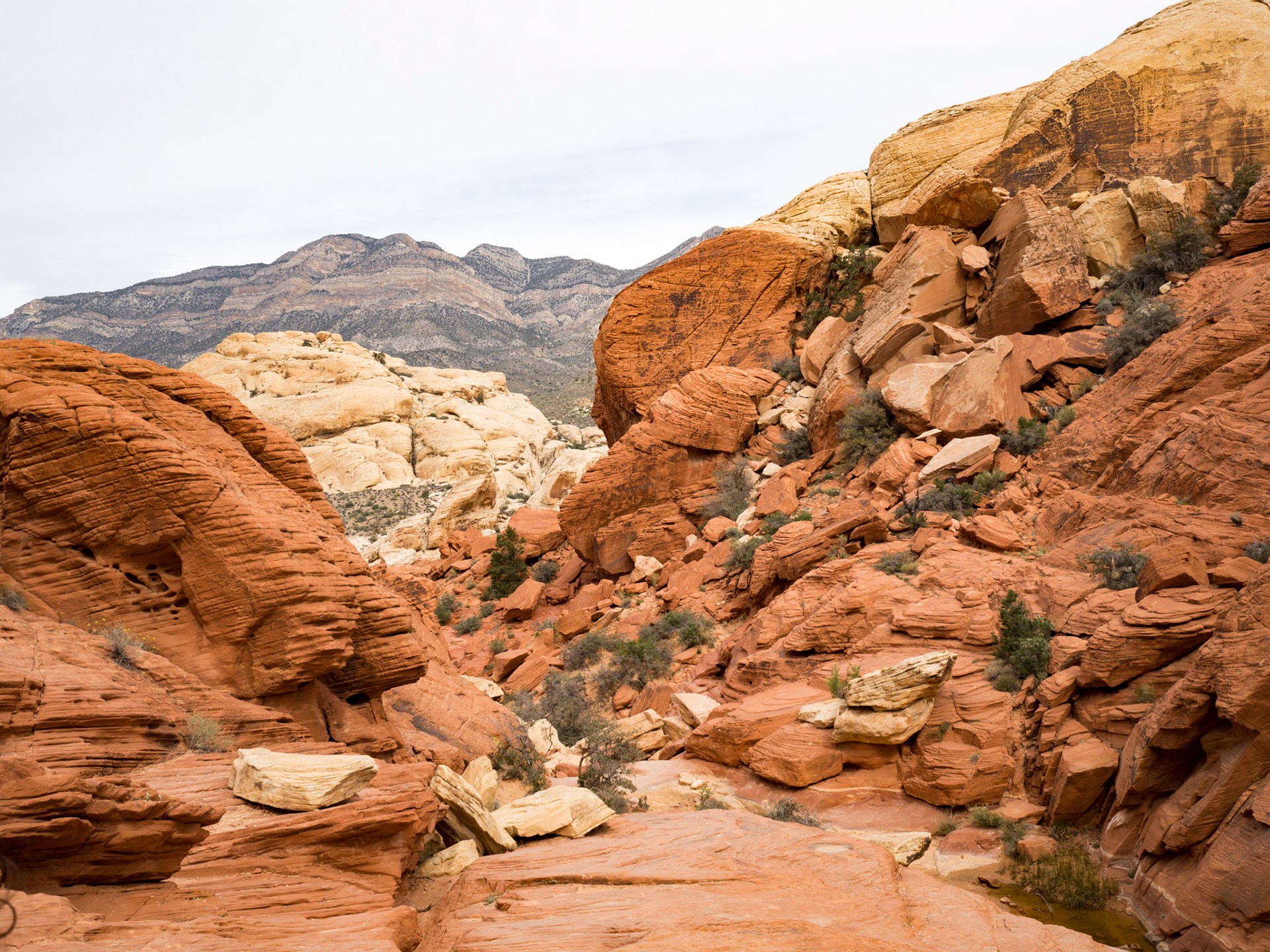 Red Rock Canyon, Las Vegas, Nevada