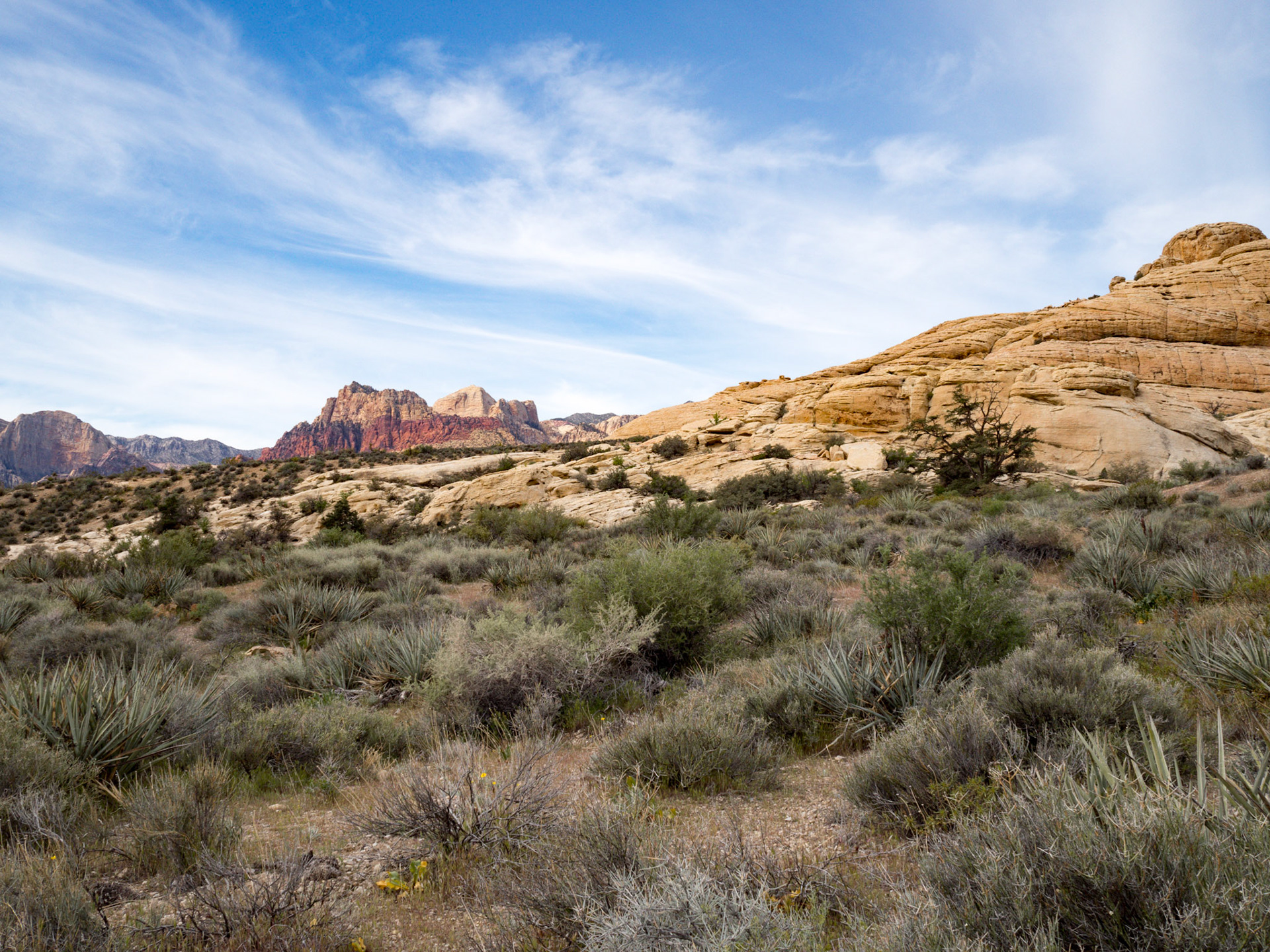 In October, 2015 I was in Las Vegas for AWS reInvent conference. One of the things I wish I had time for was visit the natural areas around Las Vegas. This time (March, 2016), however, we rented a car at Harrah’s and went hiking in the Red Rock Canyon National Conservation Area (https://en.wikipedia.org/wiki/Red_Rock_Canyon_National_Conservation_Area). There is no way to properly capture the beauty of the Red Rock, no way to pick a perfect lens or a perfect camera. You need to be there to fully appreciate it.

Note on the workflow: I am glad I took these photos using RAW+JPEG format. Normally I only shoot JPEG, but since I only recently got the Olympus PEN-F I wanted to be on the safe side and have RAW available to me. Somehow in the JPEGs the camera subdued the colors and blew out the highlights. Reds weren’t as red as I remember them, for instance, and the sky had more texture to it. Luckily, RAW had all that information and so I was able to easily post process the files in Lightroom.