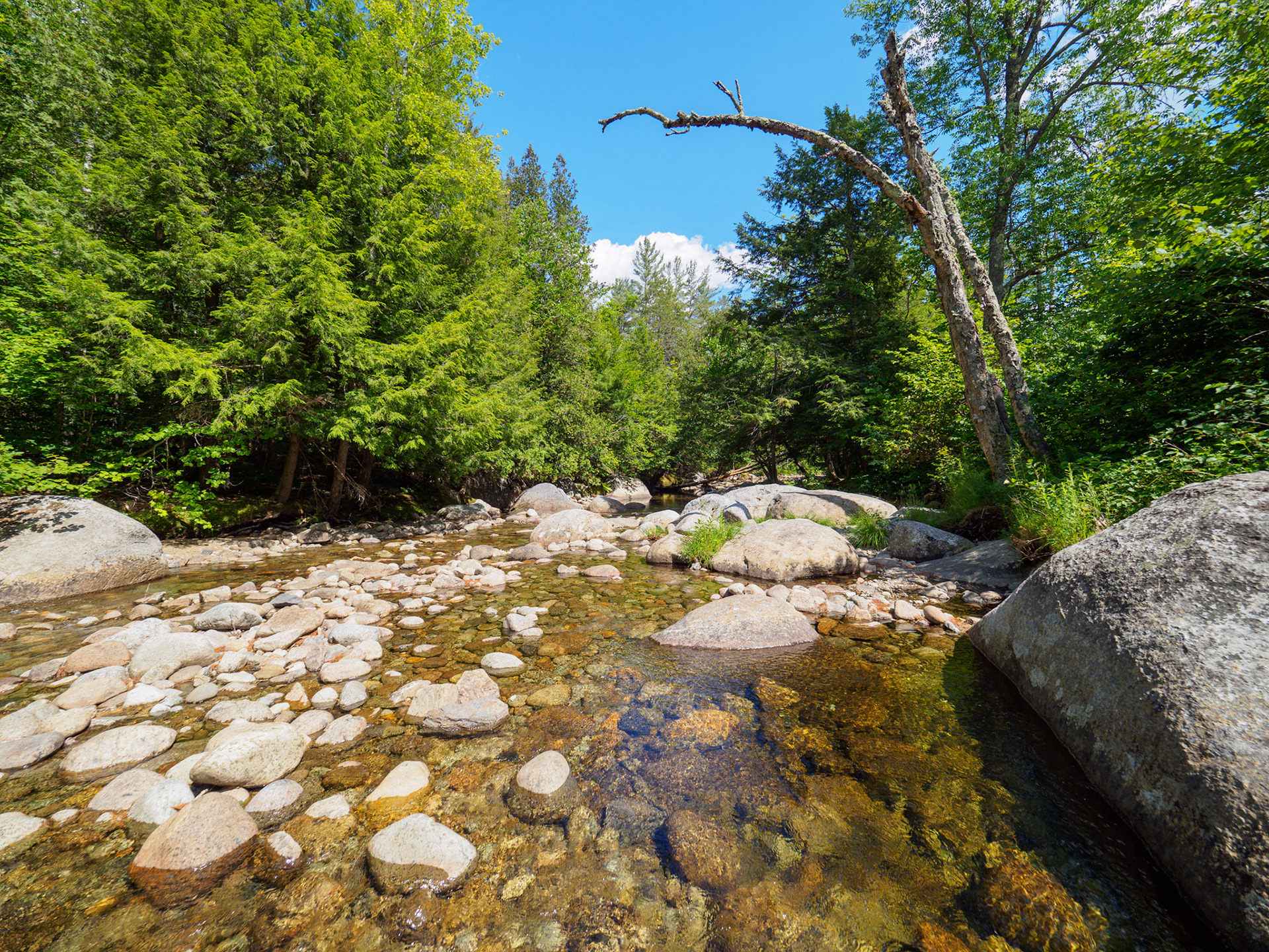 Ausable river