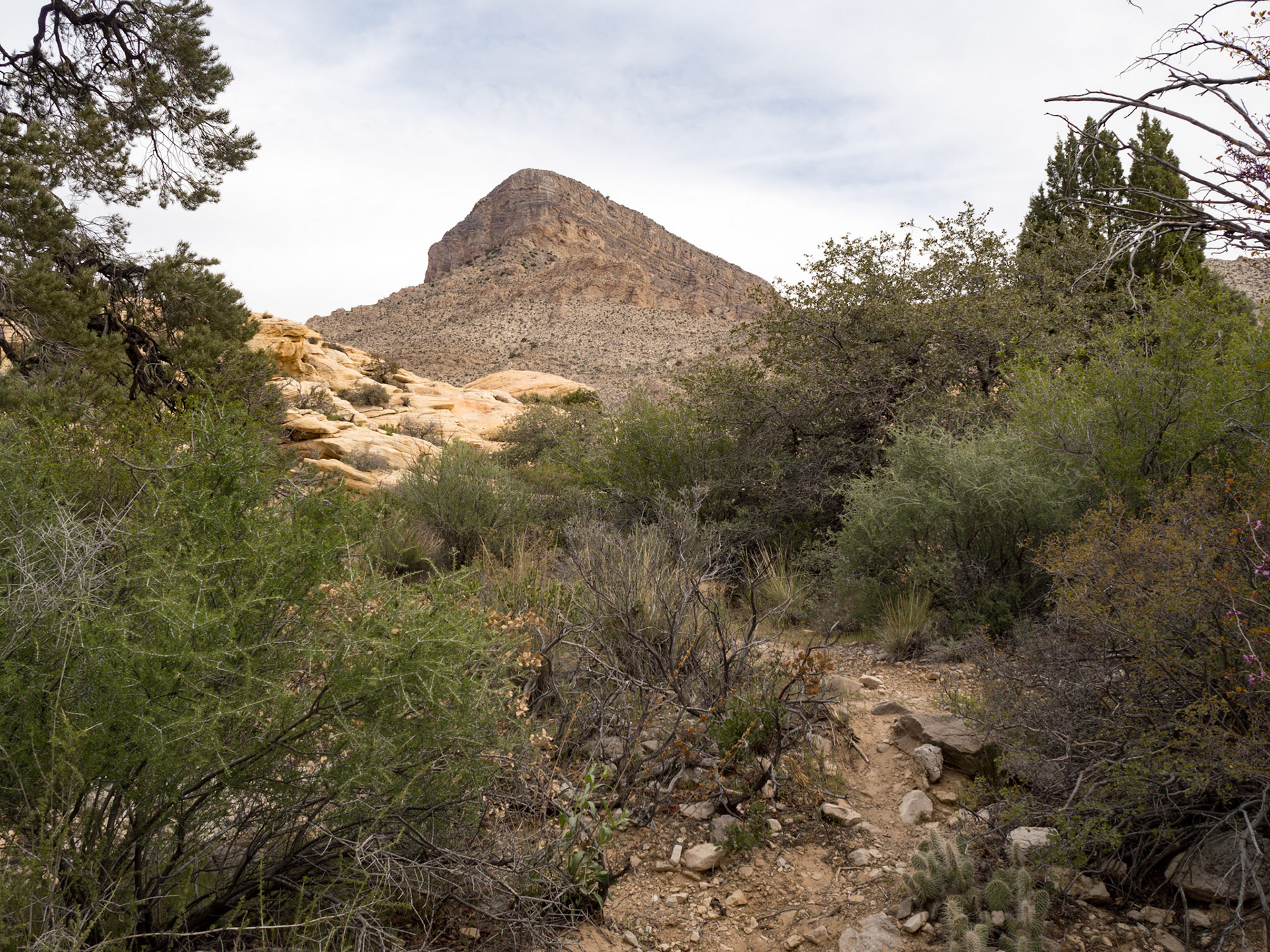 In October, 2015 I was in Las Vegas for AWS reInvent conference. One of the things I wish I had time for was visit the natural areas around Las Vegas. This time (March, 2016), however, we rented a car at Harrah’s and went hiking in the Red Rock Canyon National Conservation Area (https://en.wikipedia.org/wiki/Red_Rock_Canyon_National_Conservation_Area). There is no way to properly capture the beauty of the Red Rock, no way to pick a perfect lens or a perfect camera. You need to be there to fully appreciate it.

Note on the workflow: I am glad I took these photos using RAW+JPEG format. Normally I only shoot JPEG, but since I only recently got the Olympus PEN-F I wanted to be on the safe side and have RAW available to me. Somehow in the JPEGs the camera subdued the colors and blew out the highlights. Reds weren’t as red as I remember them, for instance, and the sky had more texture to it. Luckily, RAW had all that information and so I was able to easily post process the files in Lightroom.
