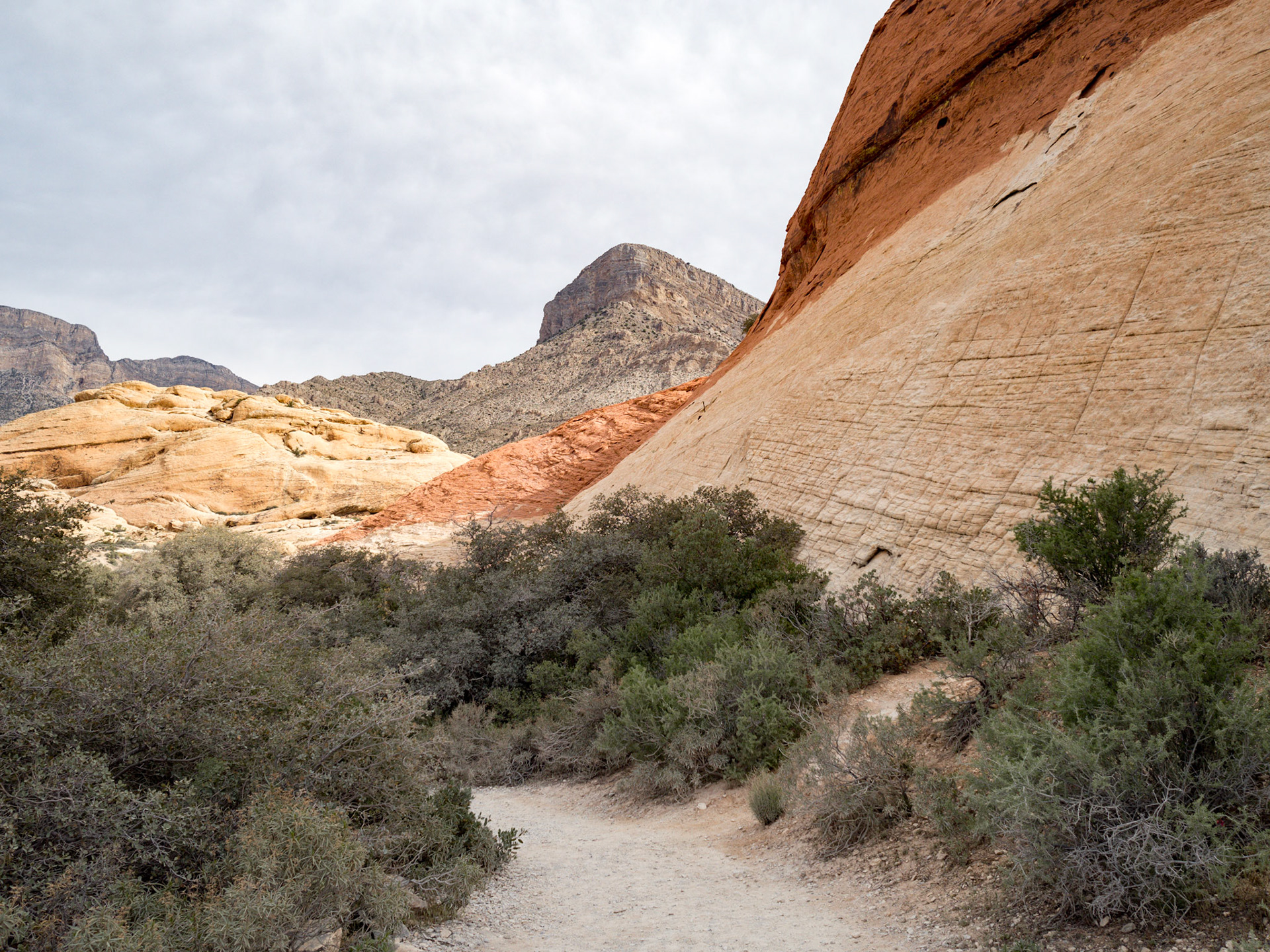 In October, 2015 I was in Las Vegas for AWS reInvent conference. One of the things I wish I had time for was visit the natural areas around Las Vegas. This time (March, 2016), however, we rented a car at Harrah’s and went hiking in the Red Rock Canyon National Conservation Area (https://en.wikipedia.org/wiki/Red_Rock_Canyon_National_Conservation_Area). There is no way to properly capture the beauty of the Red Rock, no way to pick a perfect lens or a perfect camera. You need to be there to fully appreciate it.

Note on the workflow: I am glad I took these photos using RAW+JPEG format. Normally I only shoot JPEG, but since I only recently got the Olympus PEN-F I wanted to be on the safe side and have RAW available to me. Somehow in the JPEGs the camera subdued the colors and blew out the highlights. Reds weren’t as red as I remember them, for instance, and the sky had more texture to it. Luckily, RAW had all that information and so I was able to easily post process the files in Lightroom.