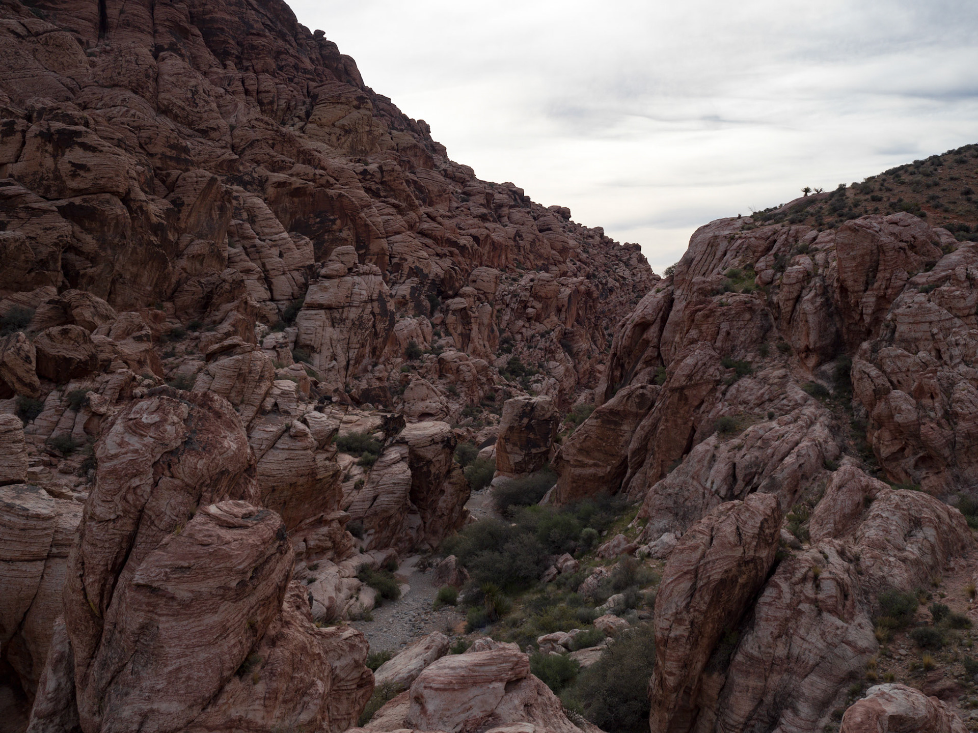 Red Rock Canyon, Las Vegas, Nevada