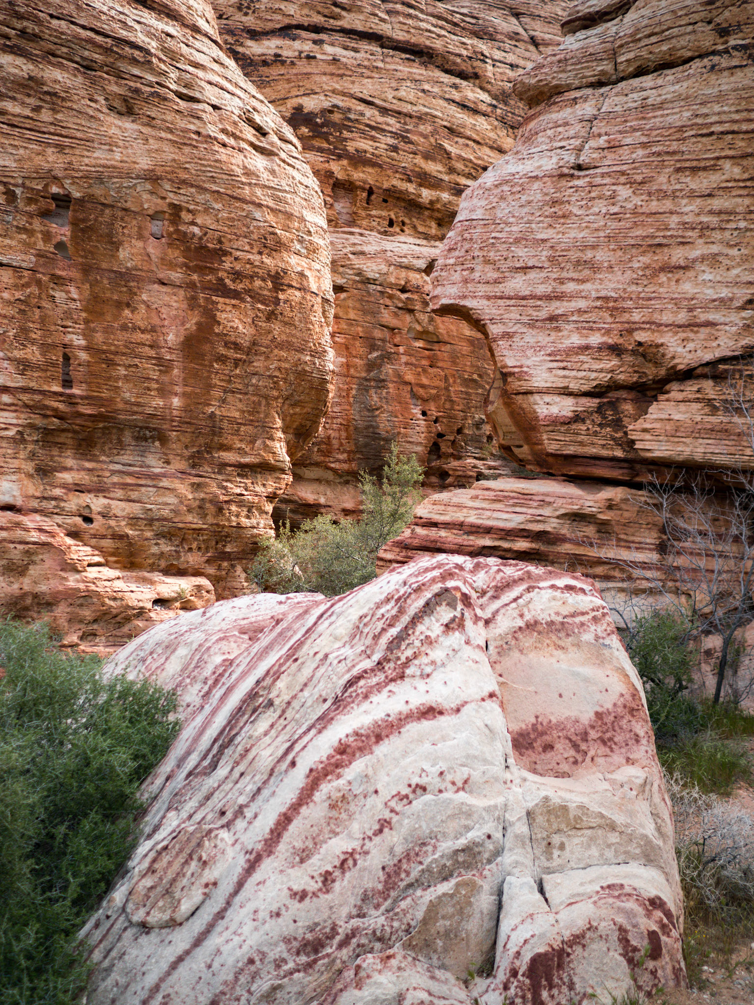 In October, 2015 I was in Las Vegas for AWS reInvent conference. One of the things I wish I had time for was visit the natural areas around Las Vegas. This time (March, 2016), however, we rented a car at Harrah’s and went hiking in the Red Rock Canyon National Conservation Area (https://en.wikipedia.org/wiki/Red_Rock_Canyon_National_Conservation_Area). There is no way to properly capture the beauty of the Red Rock, no way to pick a perfect lens or a perfect camera. You need to be there to fully appreciate it.

Note on the workflow: I am glad I took these photos using RAW+JPEG format. Normally I only shoot JPEG, but since I only recently got the Olympus PEN-F I wanted to be on the safe side and have RAW available to me. Somehow in the JPEGs the camera subdued the colors and blew out the highlights. Reds weren’t as red as I remember them, for instance, and the sky had more texture to it. Luckily, RAW had all that information and so I was able to easily post process the files in Lightroom.