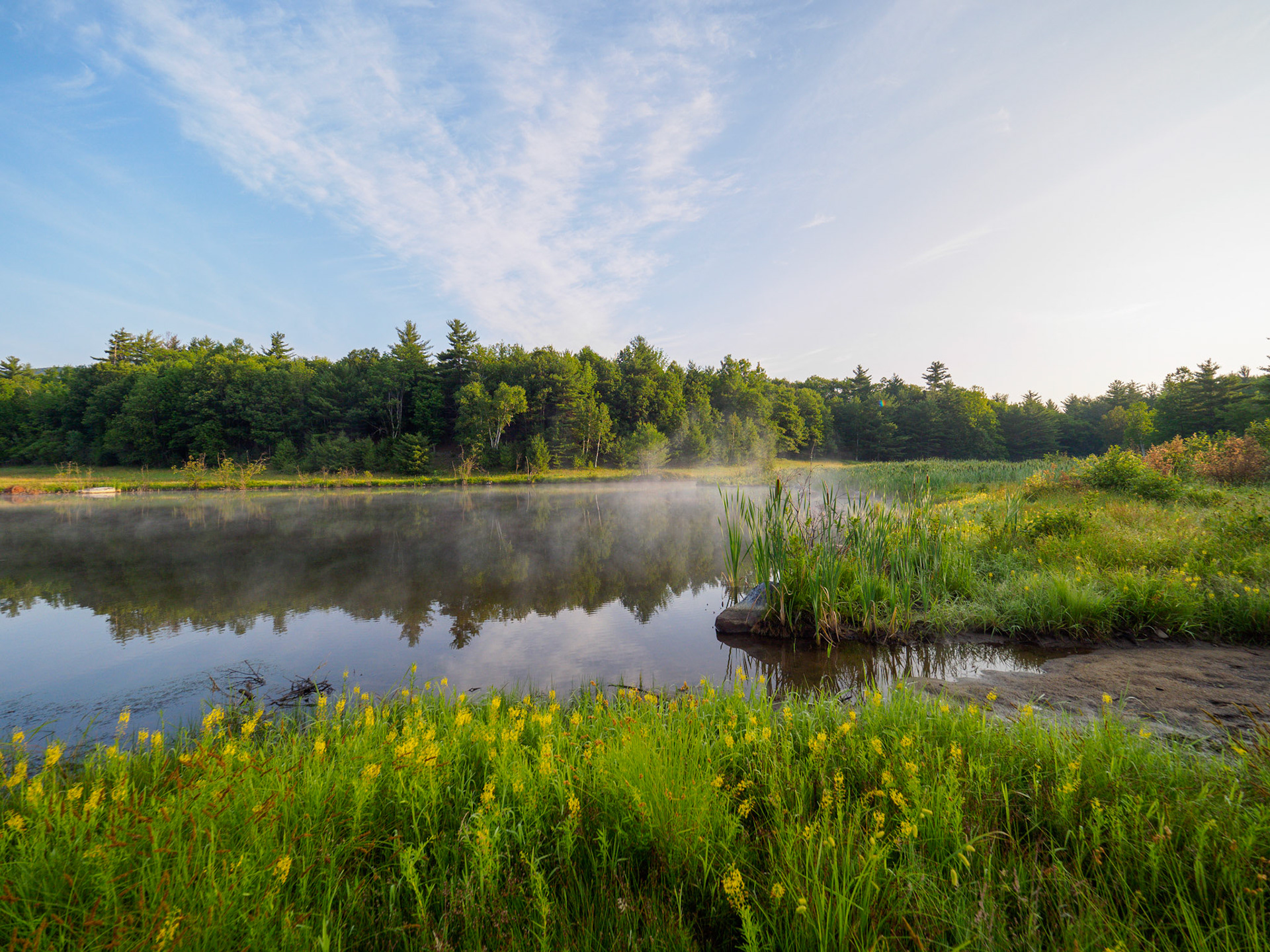 Views from Bark Eater Inn