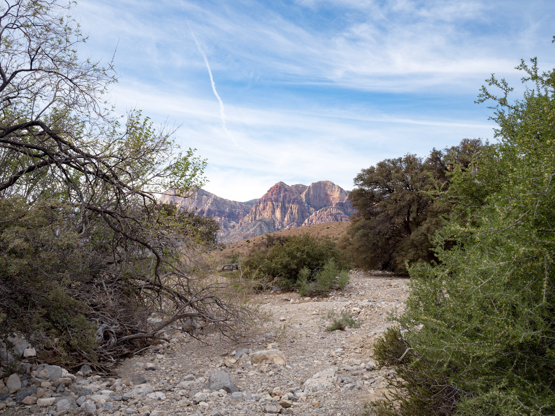 In October, 2015 I was in Las Vegas for AWS reInvent conference. One of the things I wish I had time for was visit the natural areas around Las Vegas. This time (March, 2016), however, we rented a car at Harrah’s and went hiking in the Red Rock Canyon National Conservation Area (https://en.wikipedia.org/wiki/Red_Rock_Canyon_National_Conservation_Area). There is no way to properly capture the beauty of the Red Rock, no way to pick a perfect lens or a perfect camera. You need to be there to fully appreciate it.

Note on the workflow: I am glad I took these photos using RAW+JPEG format. Normally I only shoot JPEG, but since I only recently got the Olympus PEN-F I wanted to be on the safe side and have RAW available to me. Somehow in the JPEGs the camera subdued the colors and blew out the highlights. Reds weren’t as red as I remember them, for instance, and the sky had more texture to it. Luckily, RAW had all that information and so I was able to easily post process the files in Lightroom.