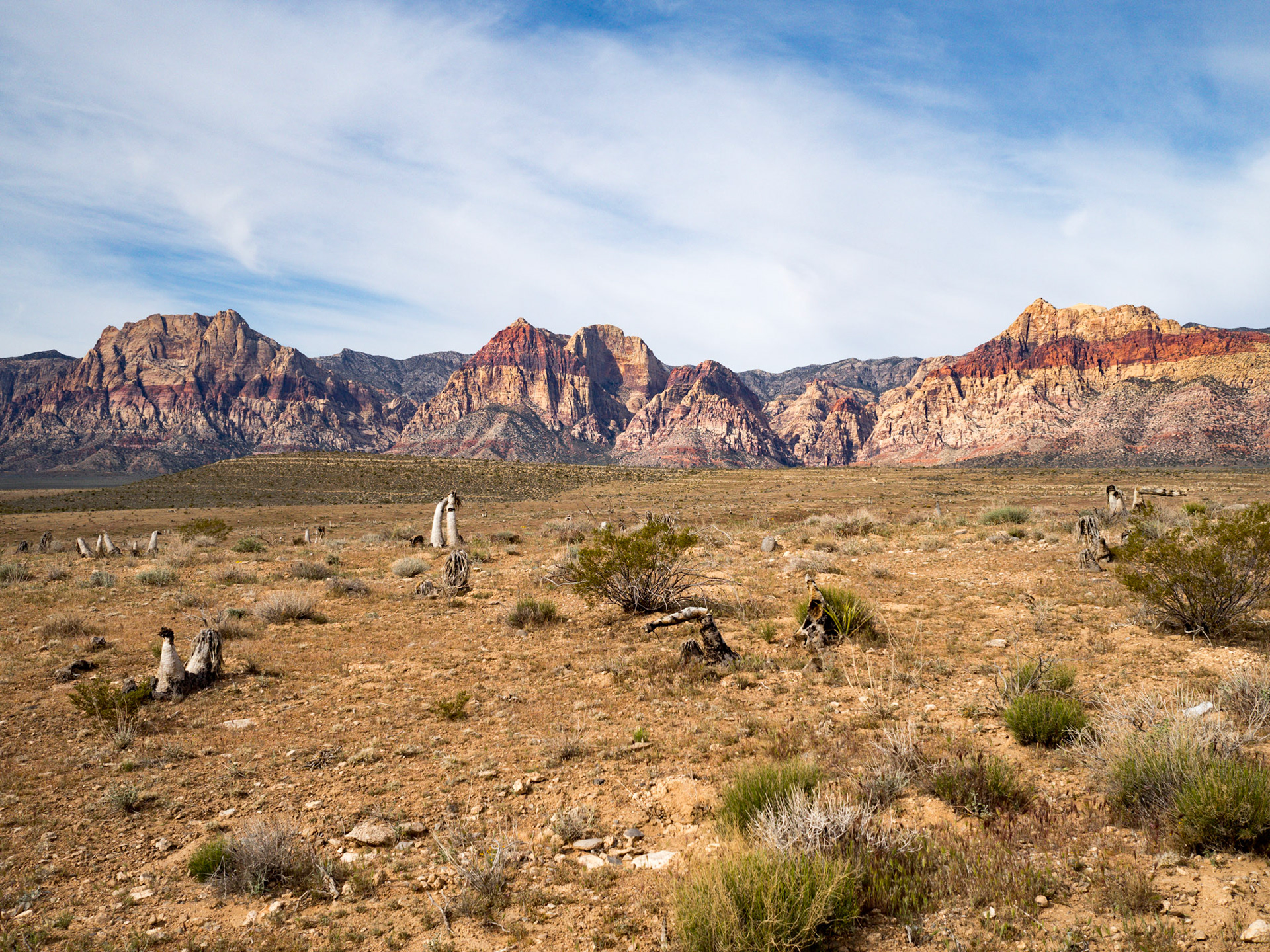 In October, 2015 I was in Las Vegas for AWS reInvent conference. One of the things I wish I had time for was visit the natural areas around Las Vegas. This time (March, 2016), however, we rented a car at Harrah’s and went hiking in the Red Rock Canyon National Conservation Area (https://en.wikipedia.org/wiki/Red_Rock_Canyon_National_Conservation_Area). There is no way to properly capture the beauty of the Red Rock, no way to pick a perfect lens or a perfect camera. You need to be there to fully appreciate it.

Note on the workflow: I am glad I took these photos using RAW+JPEG format. Normally I only shoot JPEG, but since I only recently got the Olympus PEN-F I wanted to be on the safe side and have RAW available to me. Somehow in the JPEGs the camera subdued the colors and blew out the highlights. Reds weren’t as red as I remember them, for instance, and the sky had more texture to it. Luckily, RAW had all that information and so I was able to easily post process the files in Lightroom.