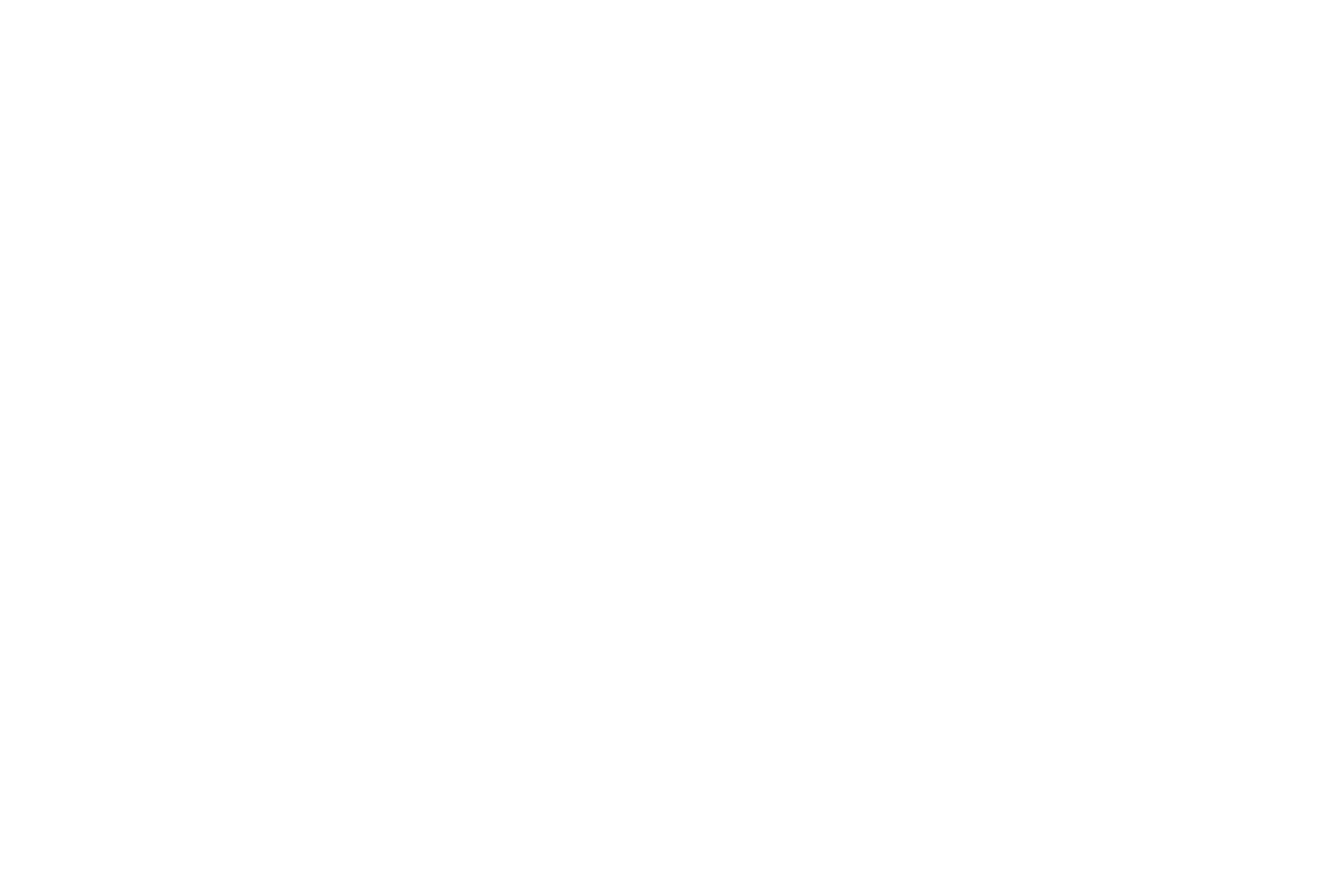 santi bus