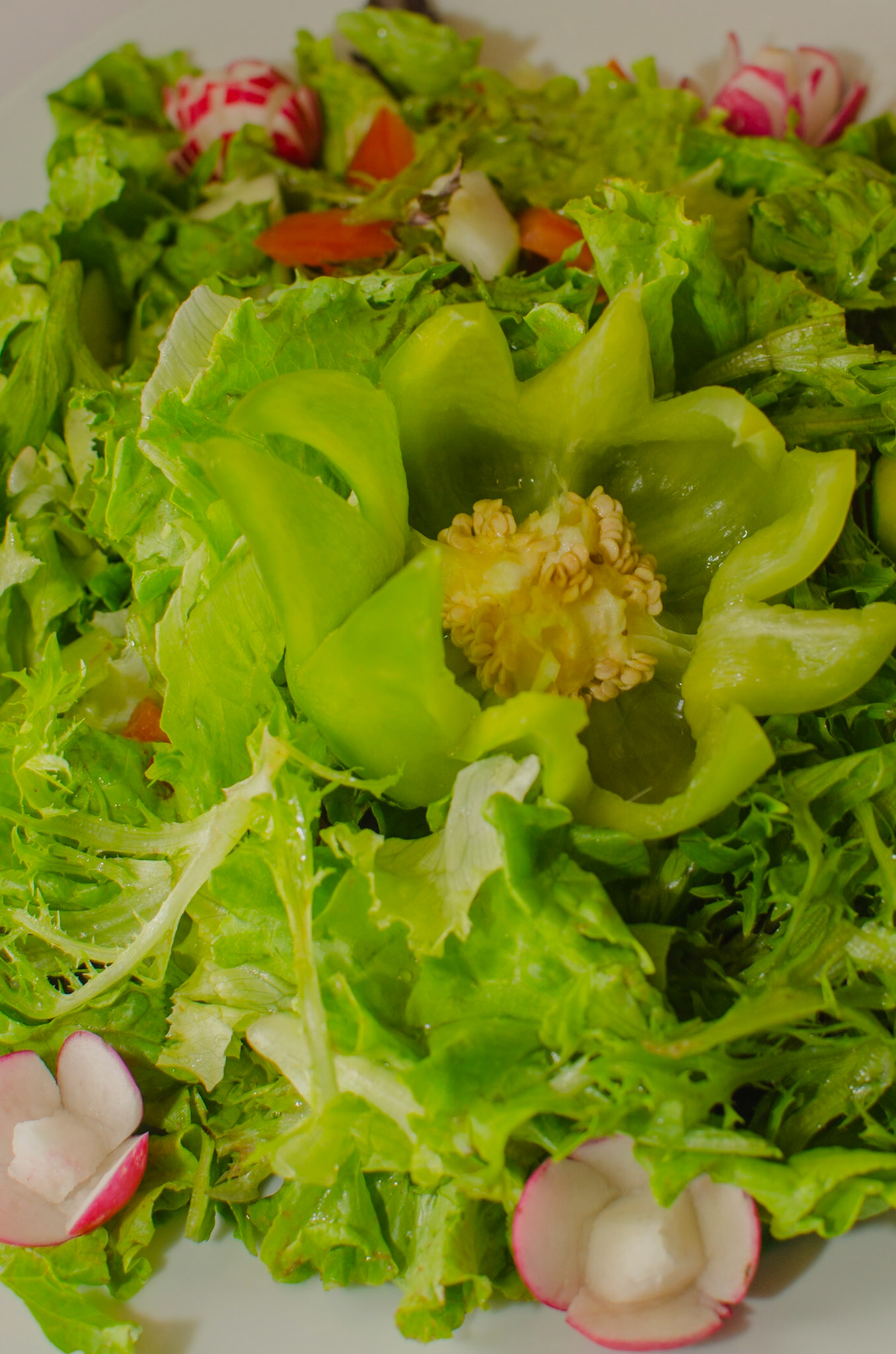 Inauguração 1ª Agência CEMAH na Ribeira Grande