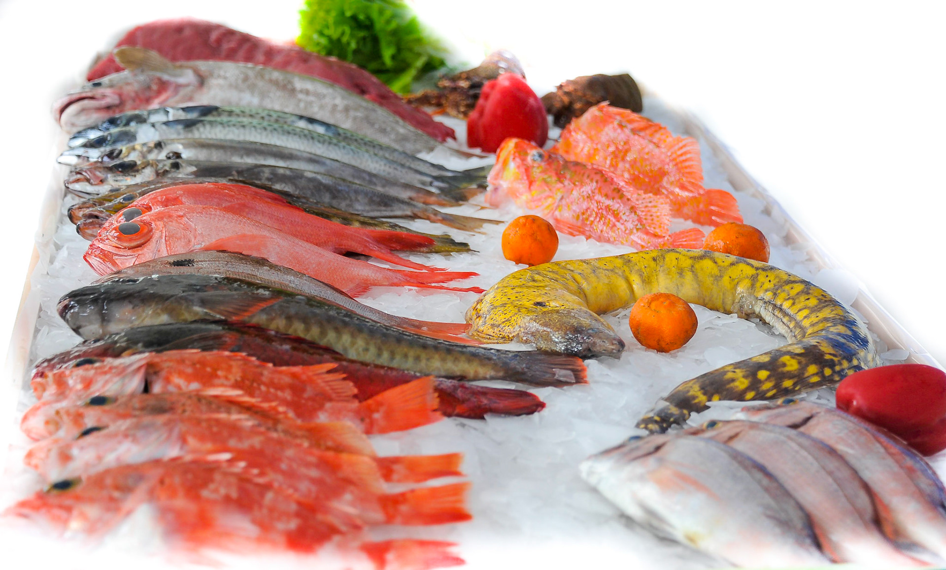 F: André Frias (c) ContraTempo.com