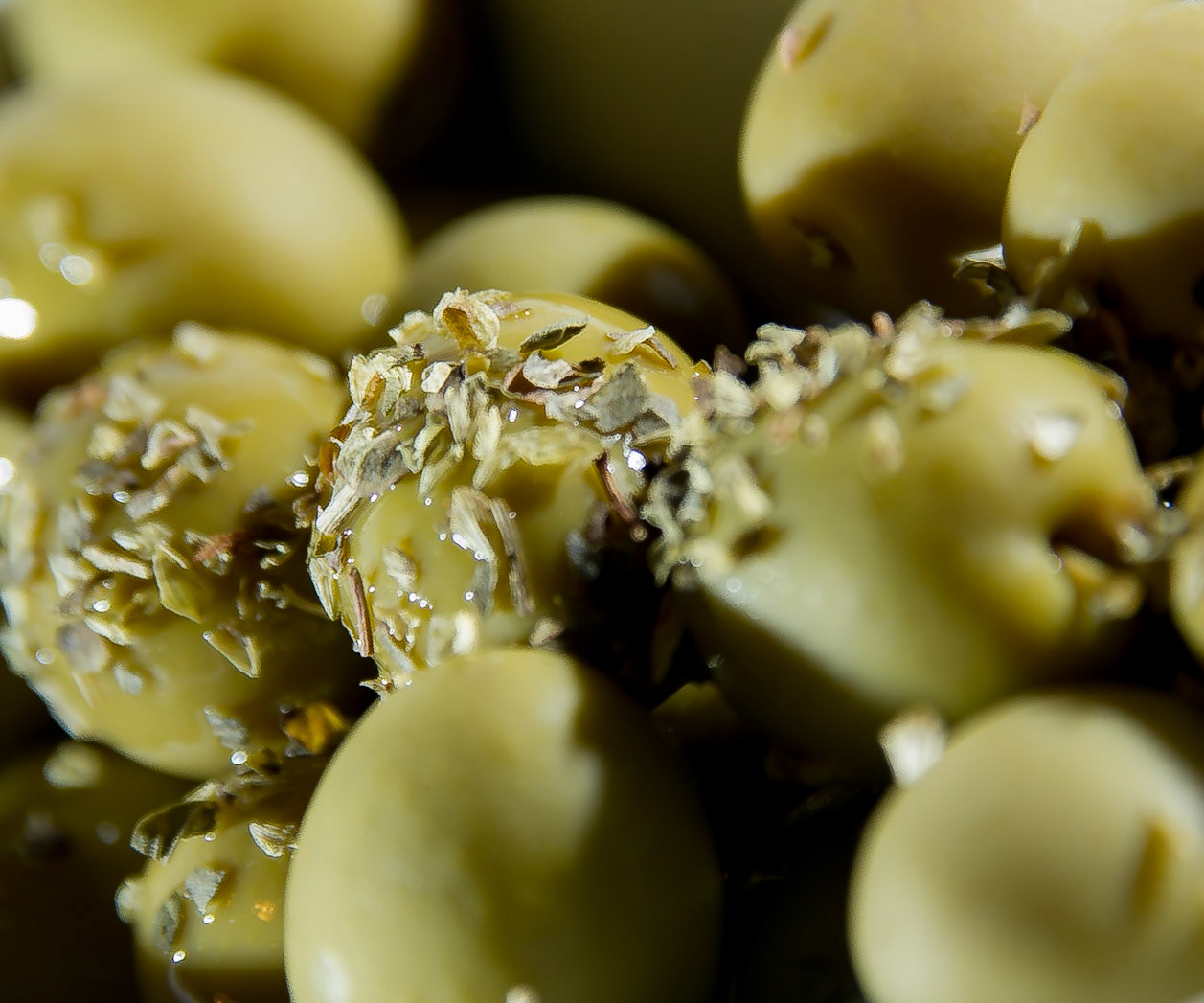 ®André Frias | ContraTempo.com