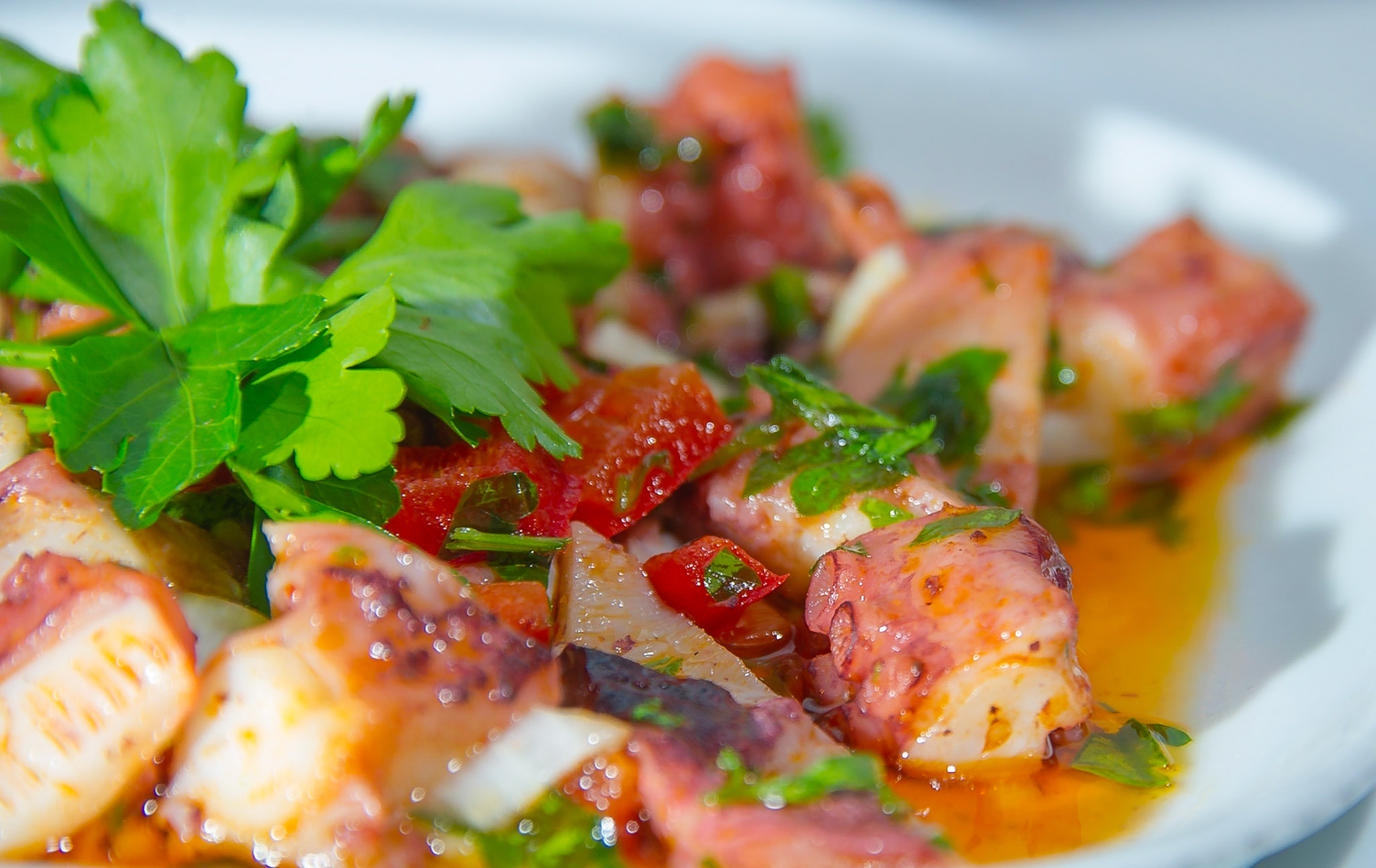 ®André Frias | ContraTempo.com