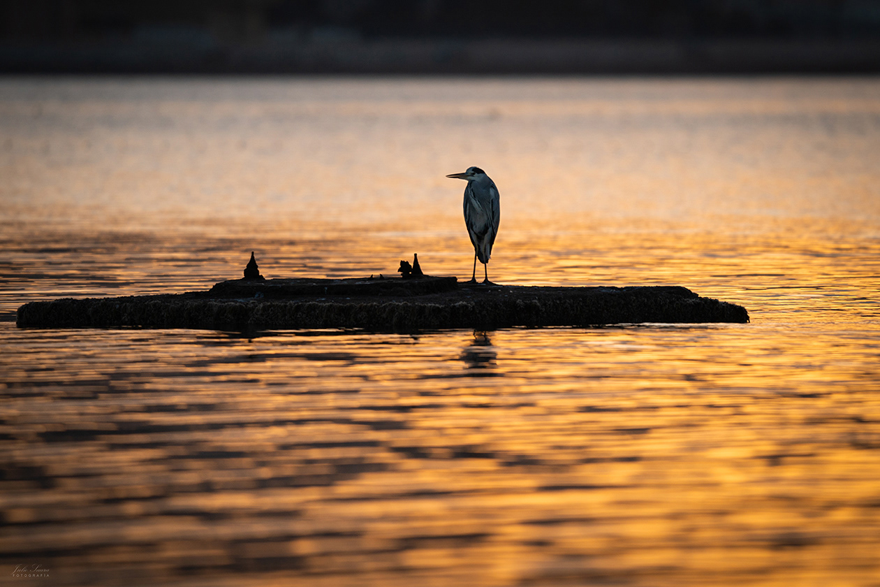 Salinas de Marchamalo