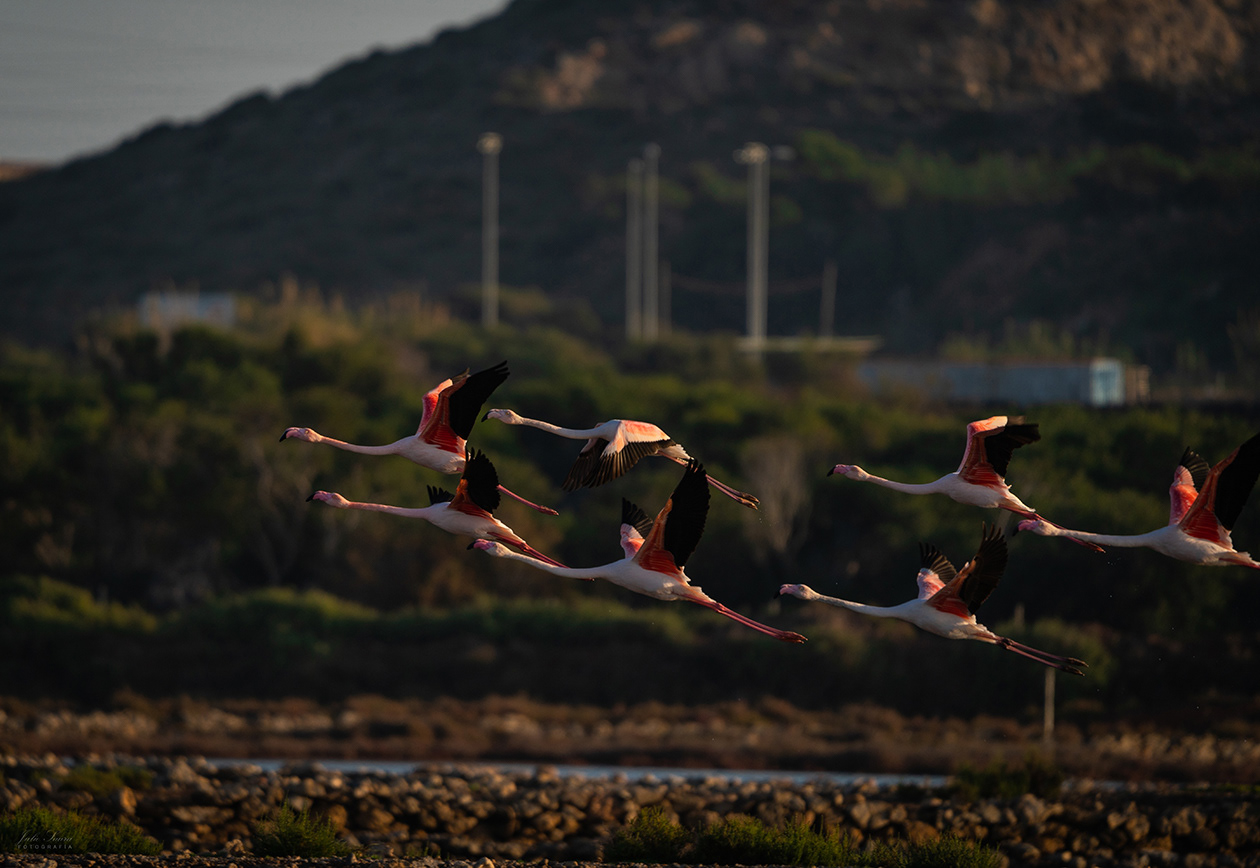 Salinas de Marchamalo
