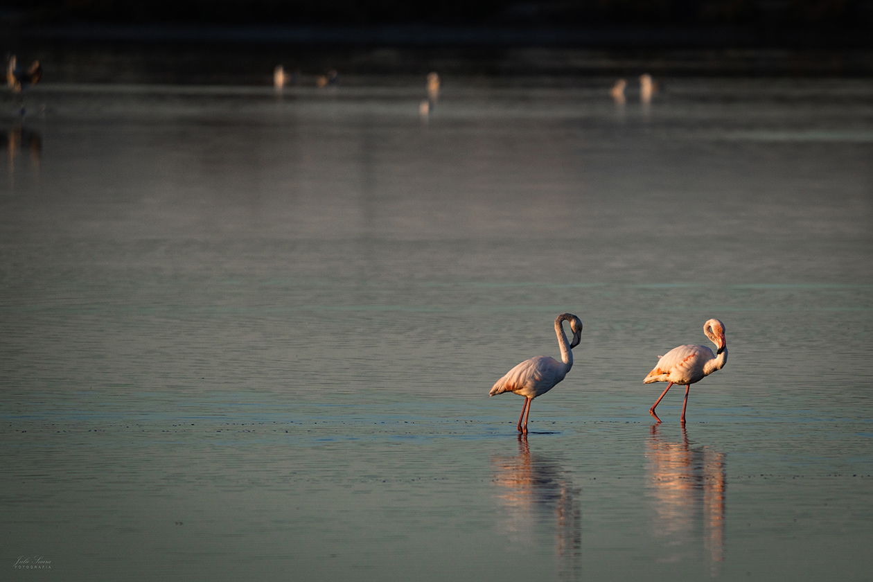 Salinas de San Pedro