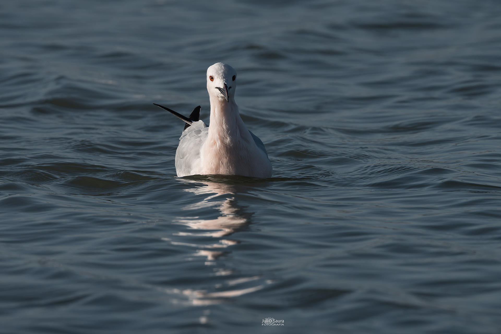 Salinas de San Pedro