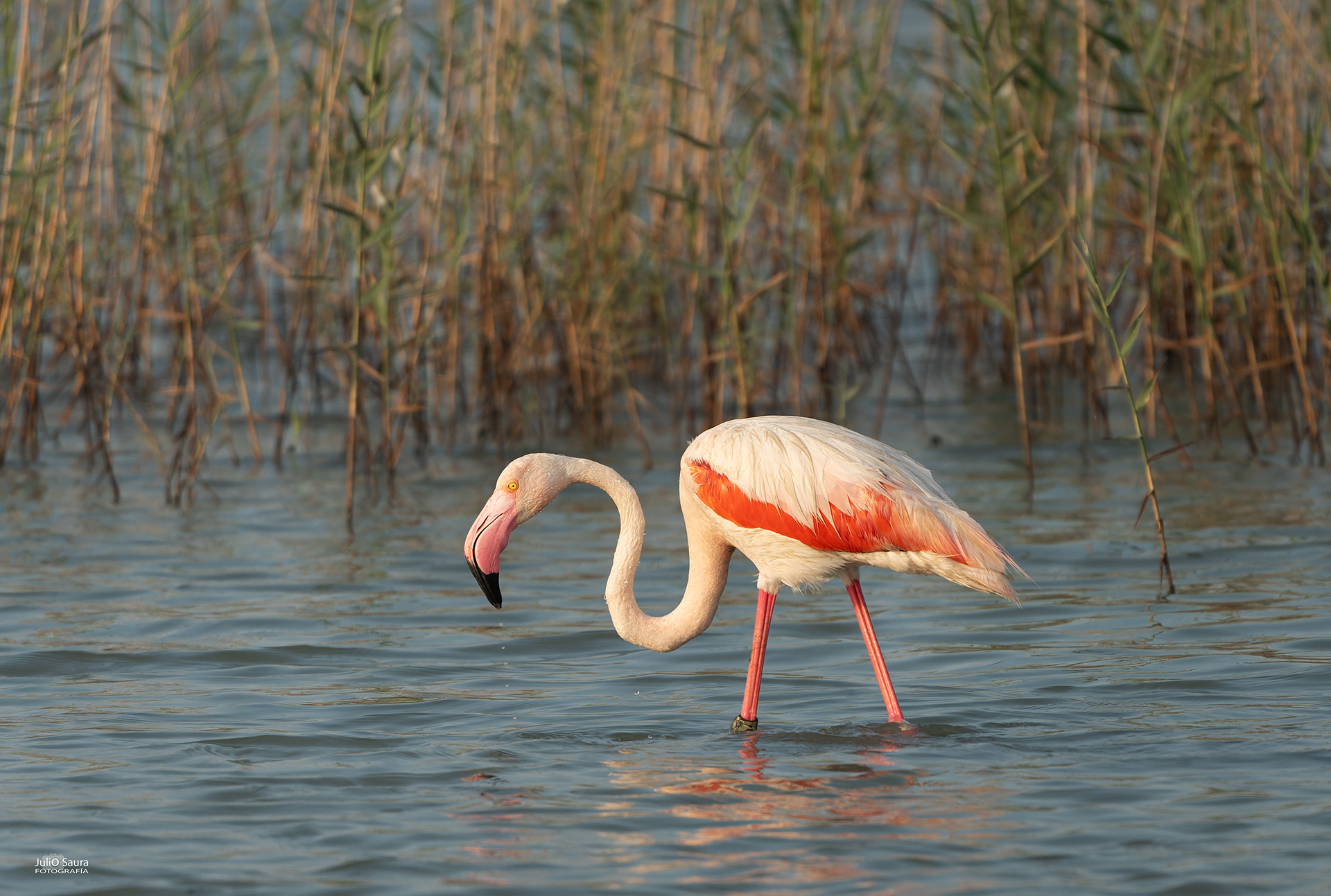 Salinas de San Pedro