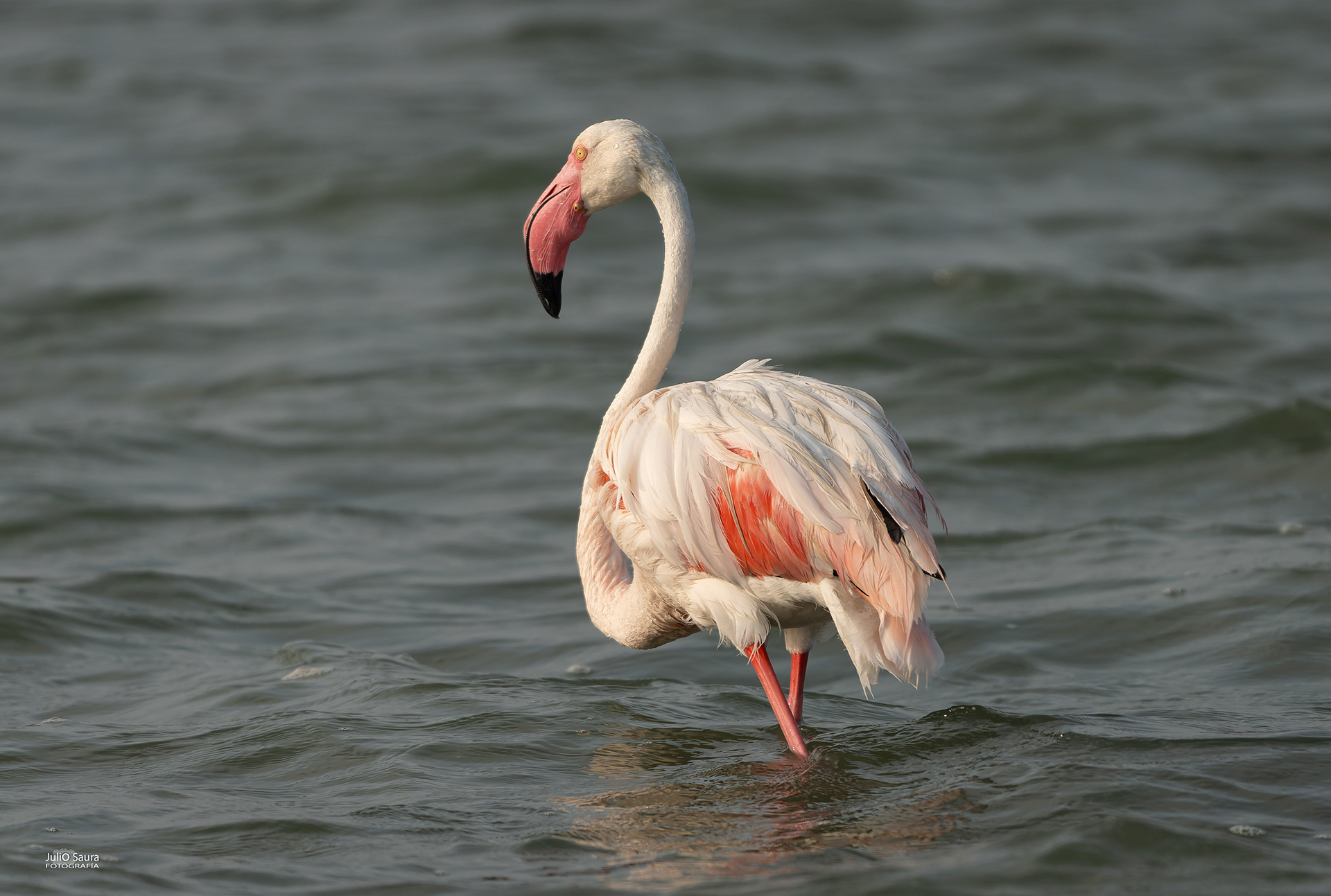 Salinas de San Pedro
