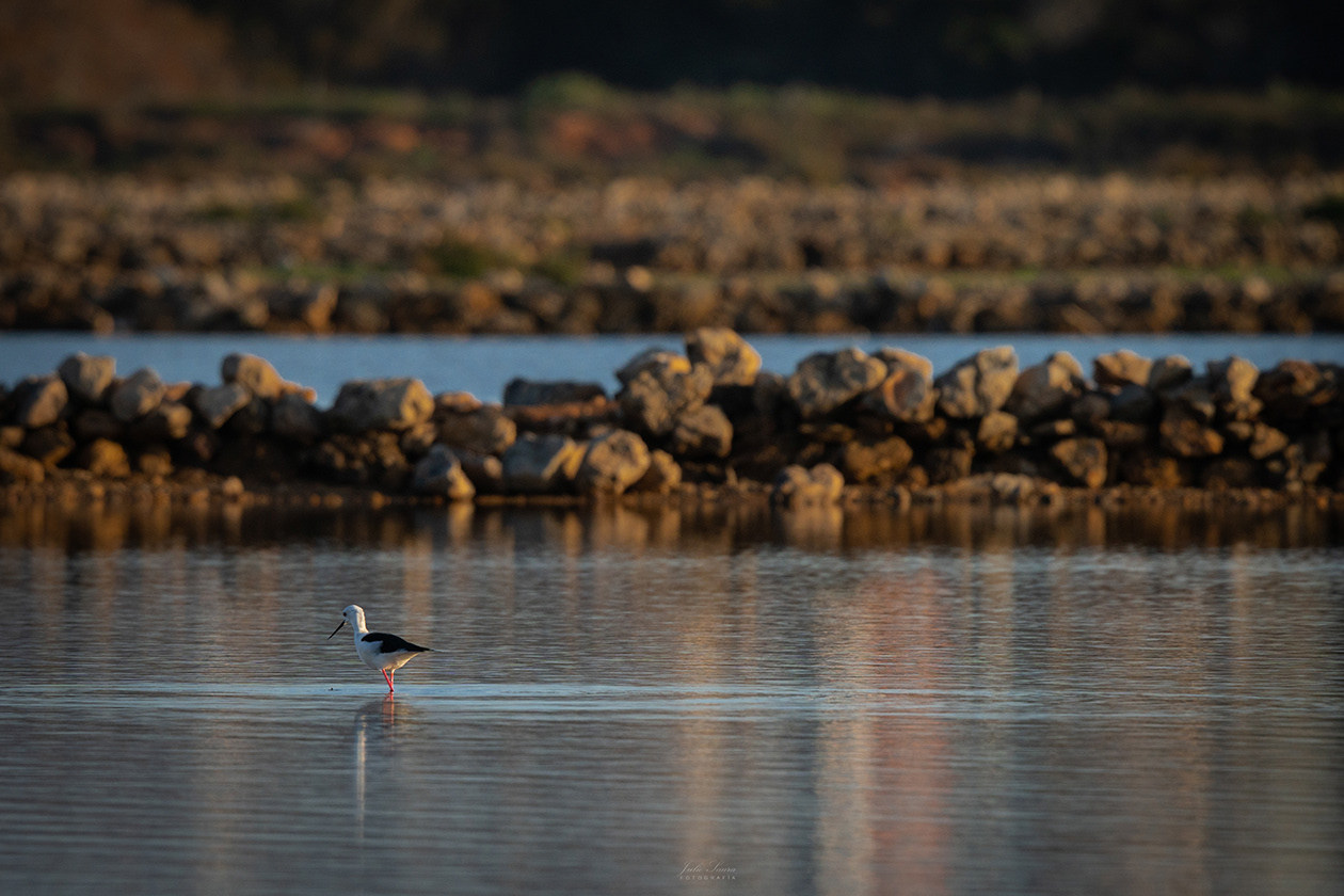 Salinas de Marchamalo