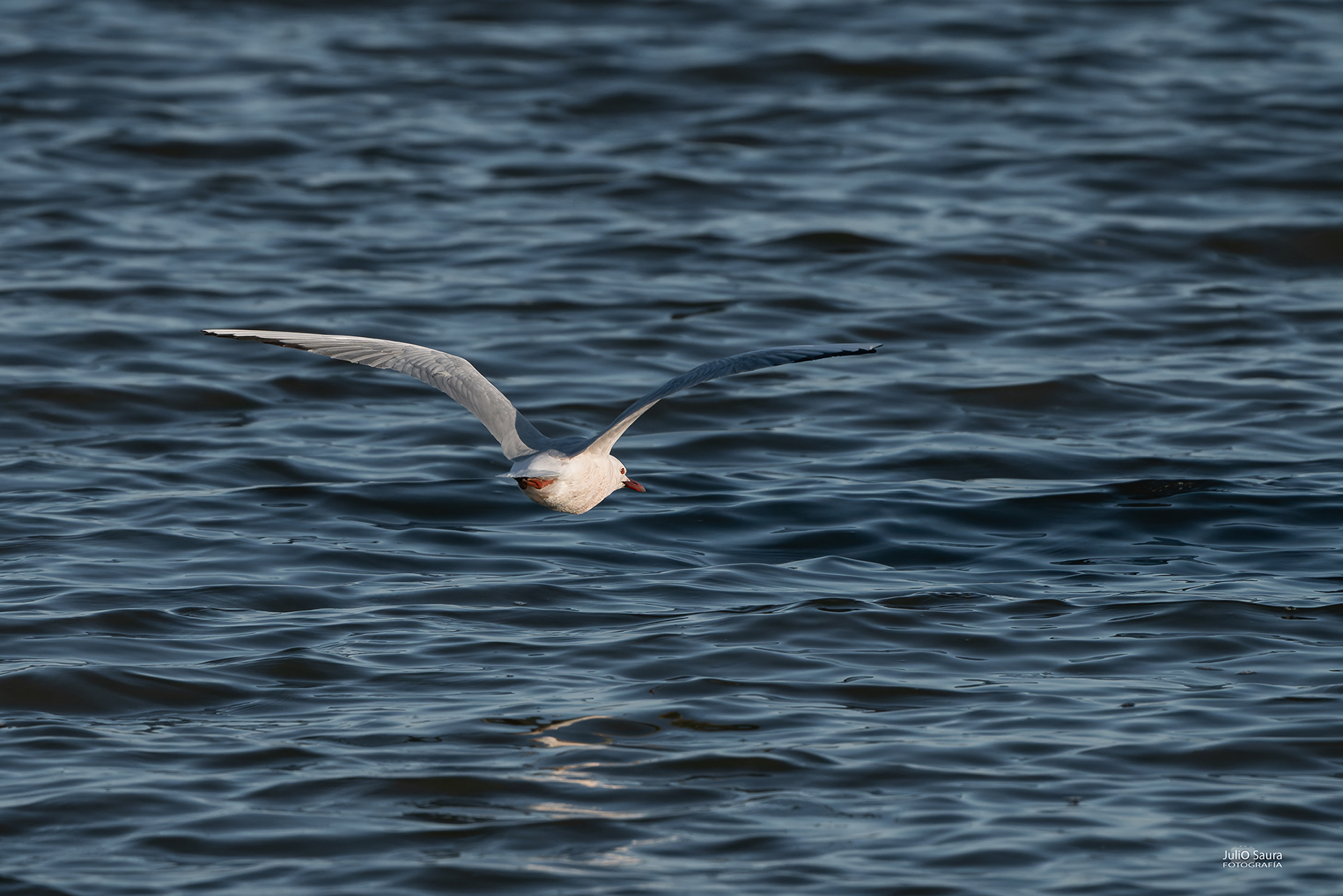 Salinas de San Pedro