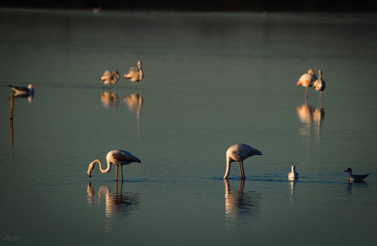 Salinas de San Pedro