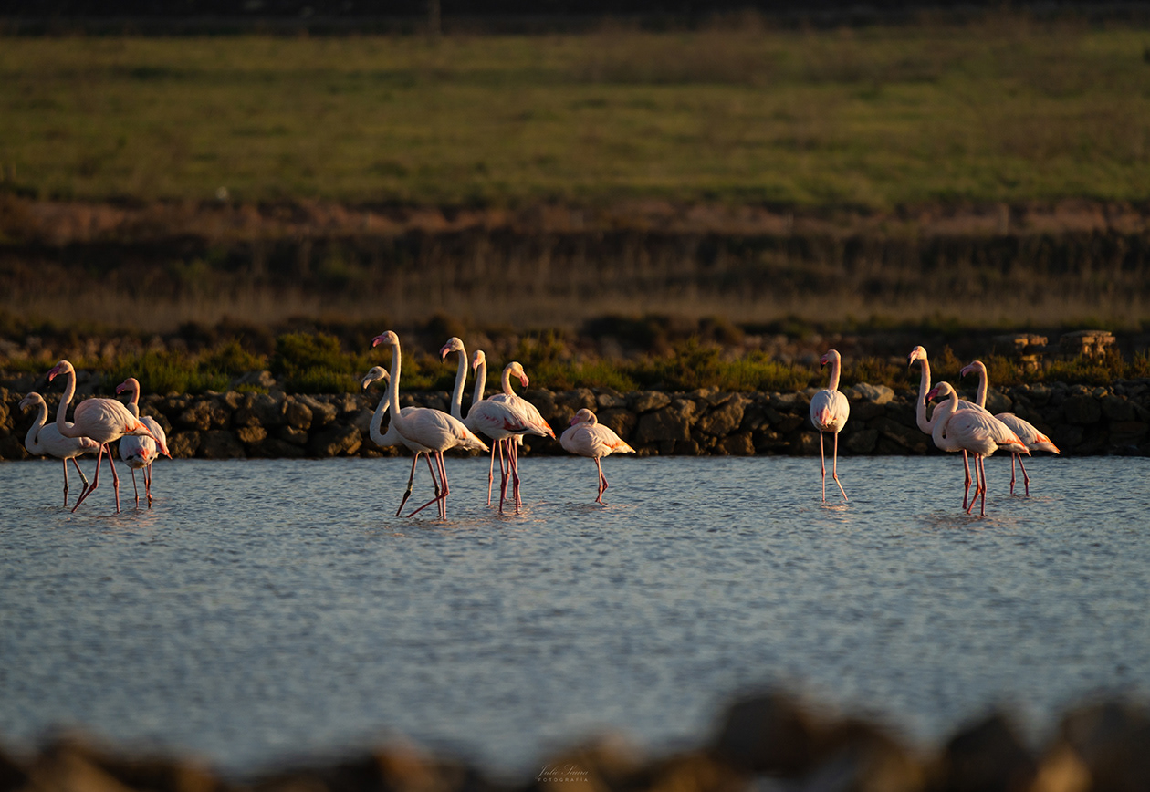 Salinas de Marchamalo
