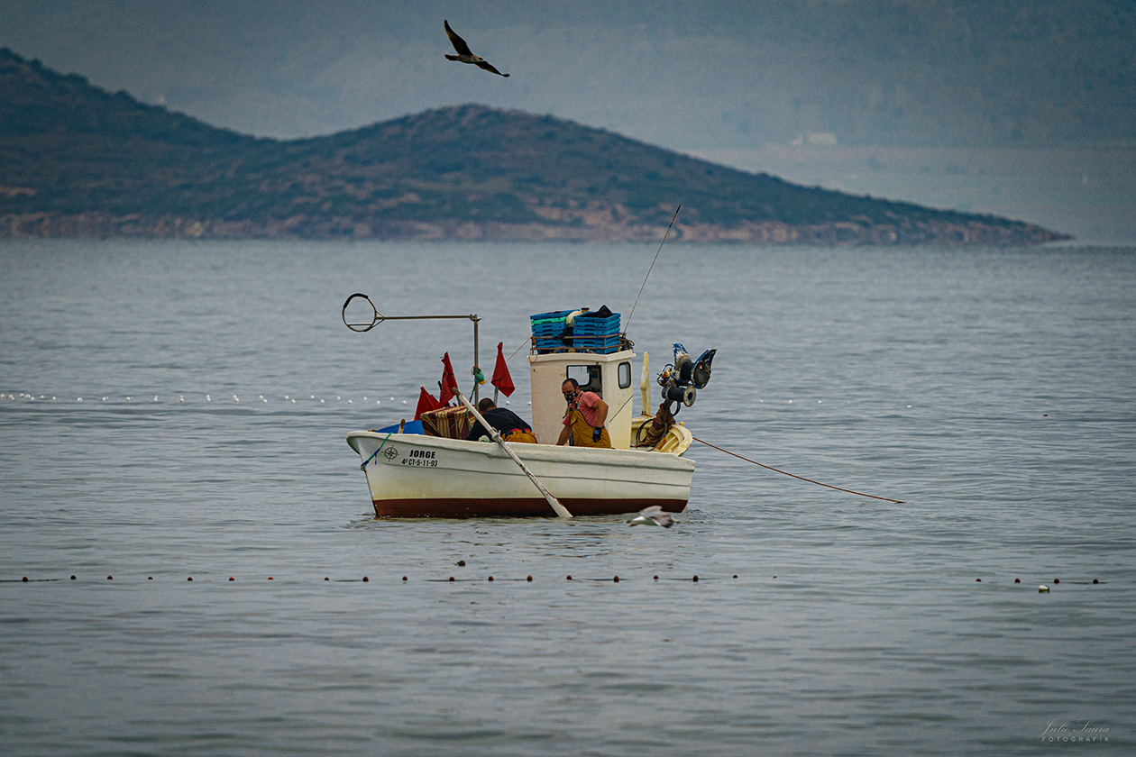 Pesca en el Mar Menor
