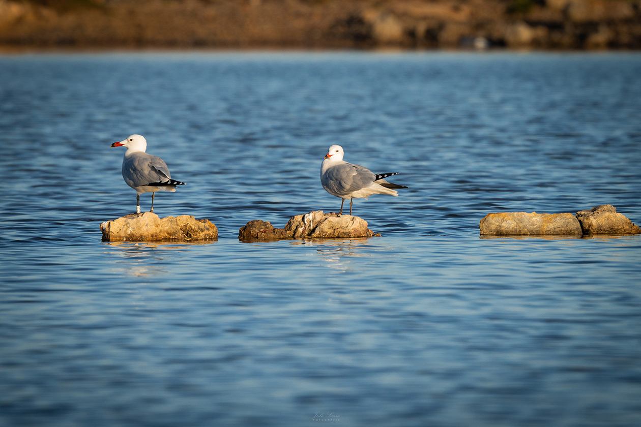 Salinas de Marchamalo