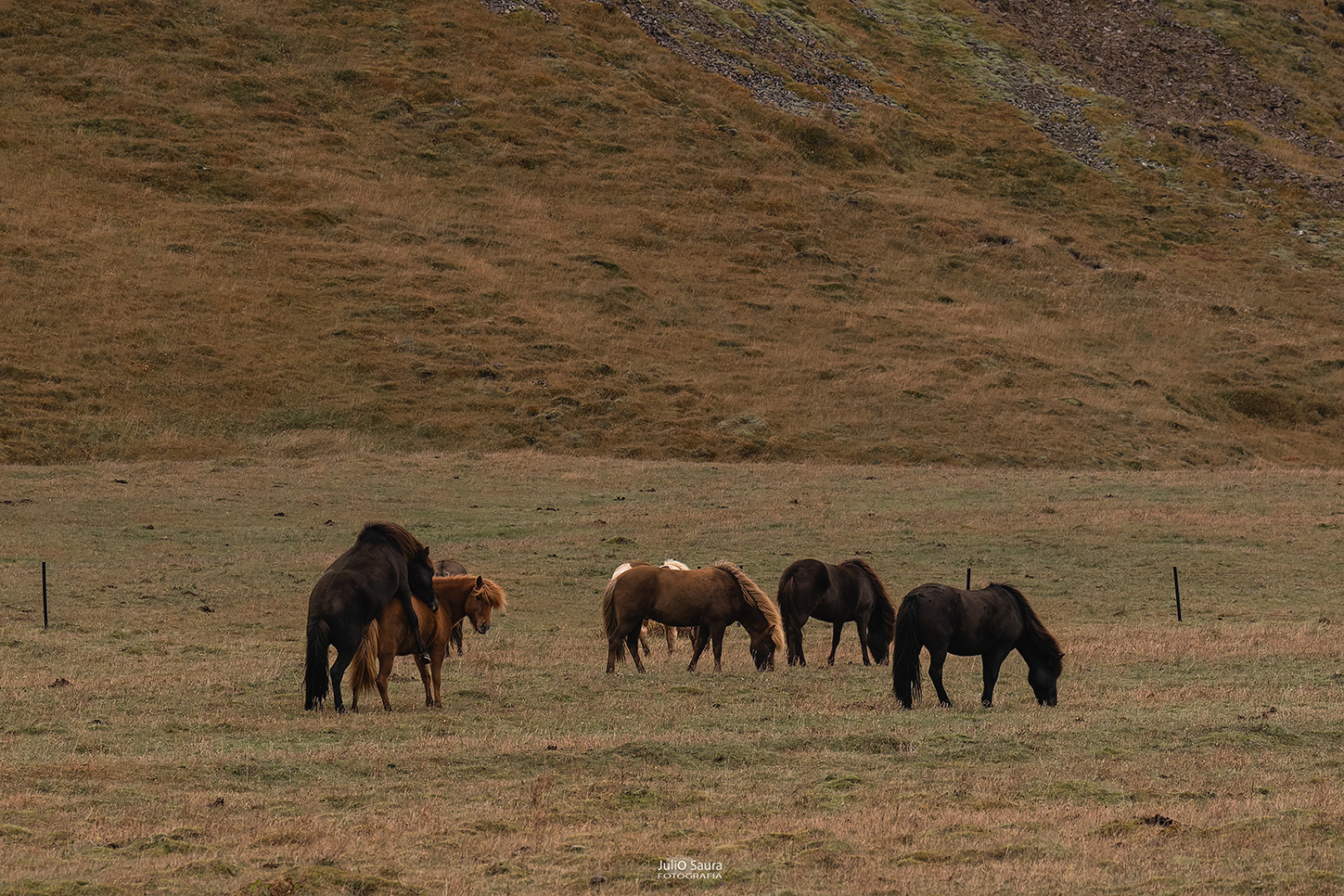 Fototour Luces del Norte 24