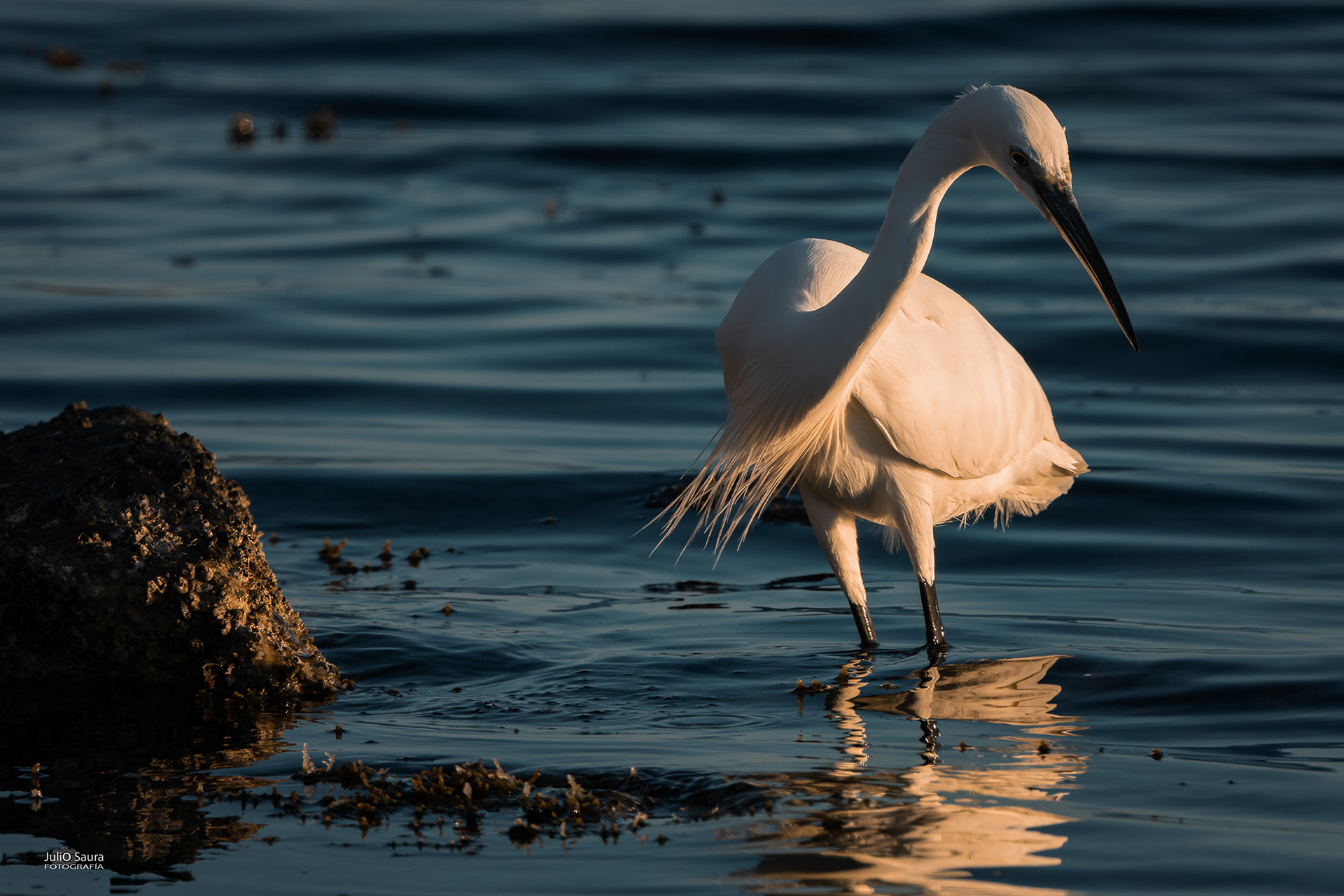 Salinas de San Pedro