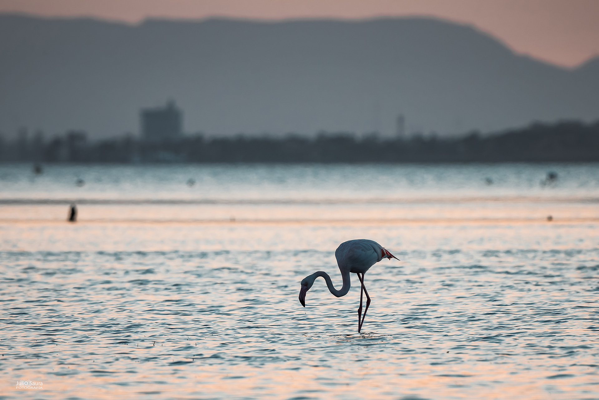 Salinas de San Pedro
