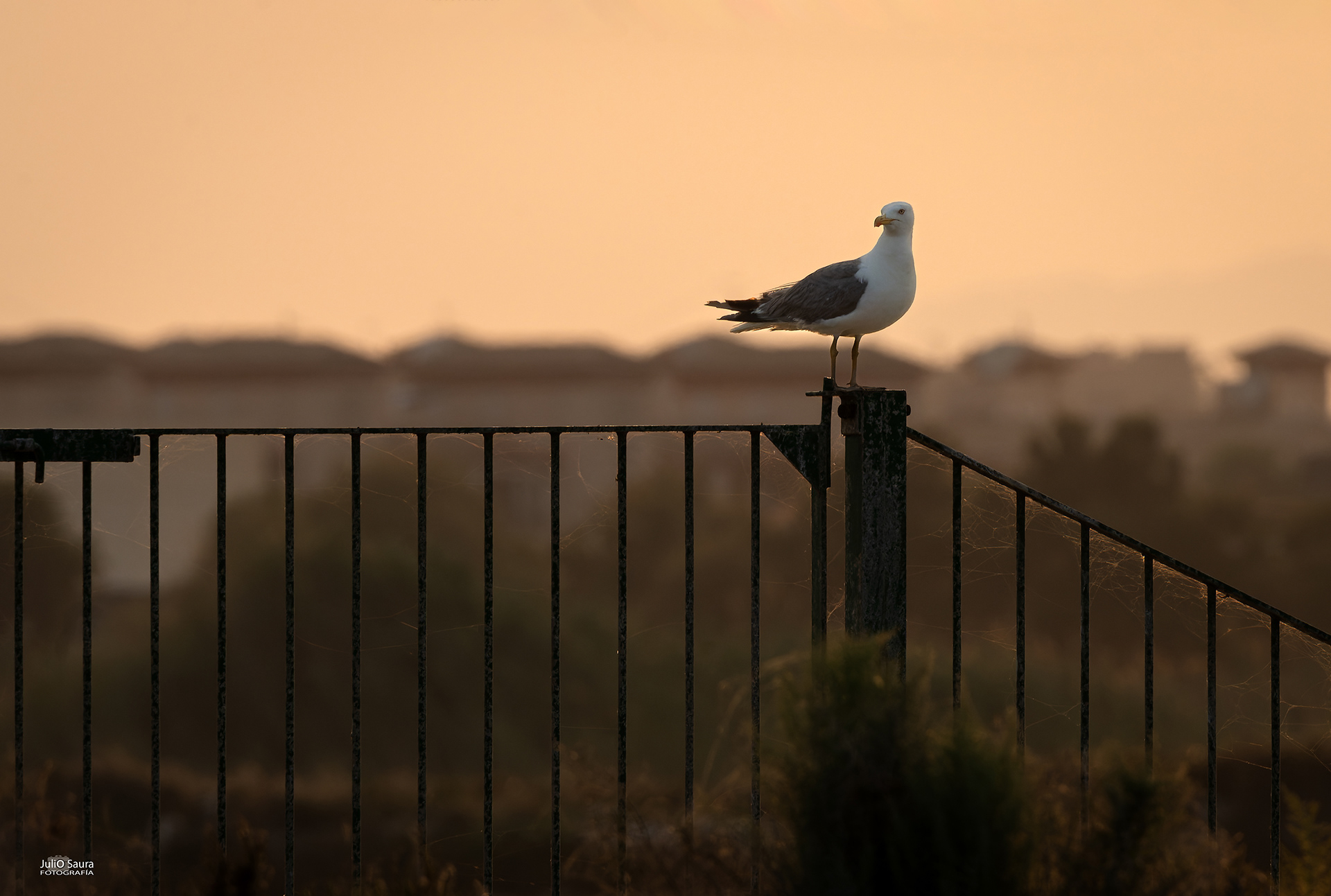 Salinas de San Pedro