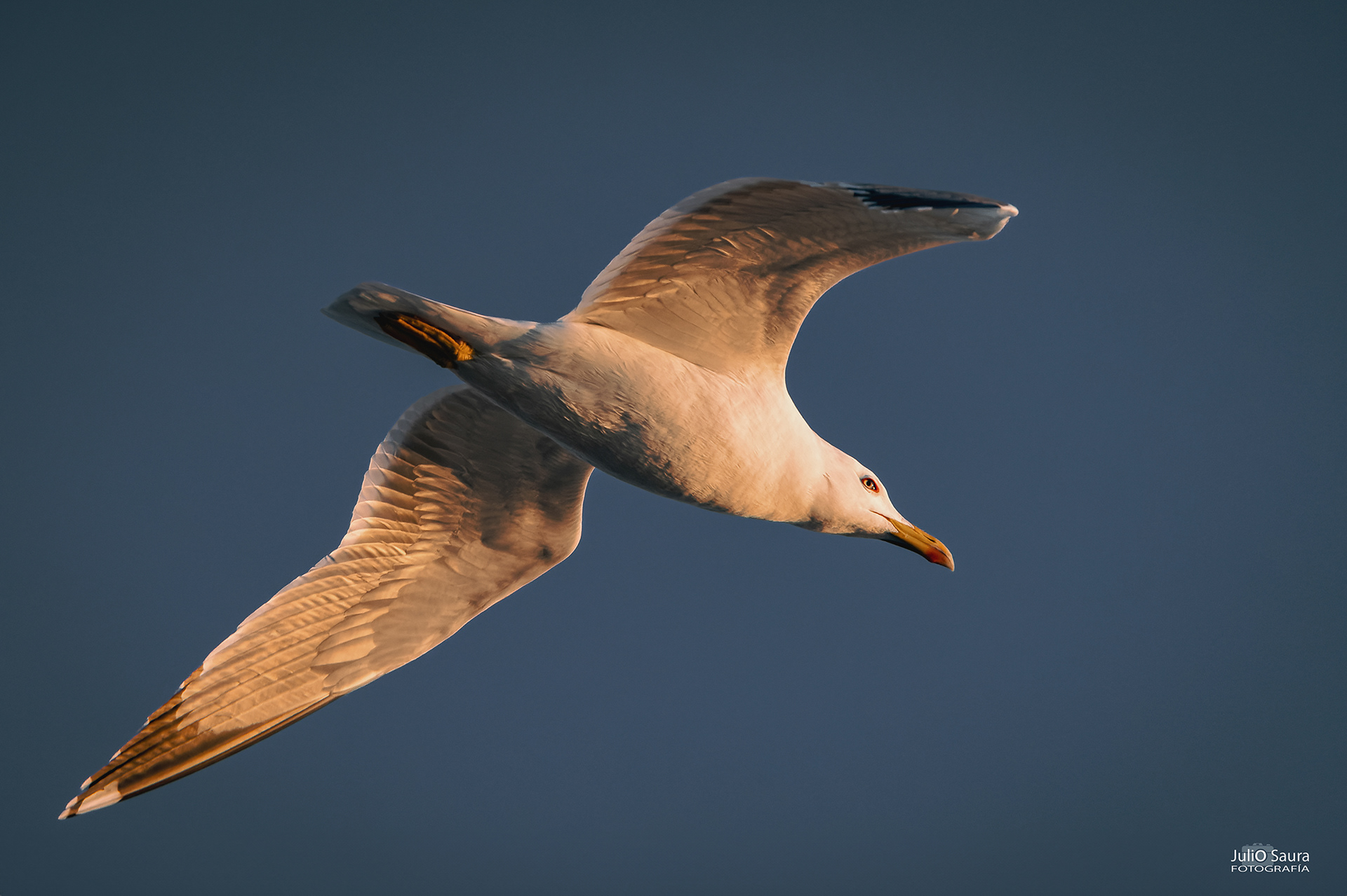 Salinas de San Pedro